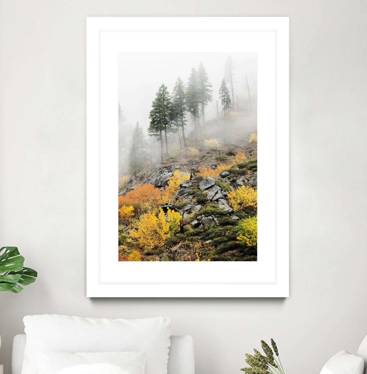 Photograph 8 by Aaron Matheson on GIANT ART - green landscape