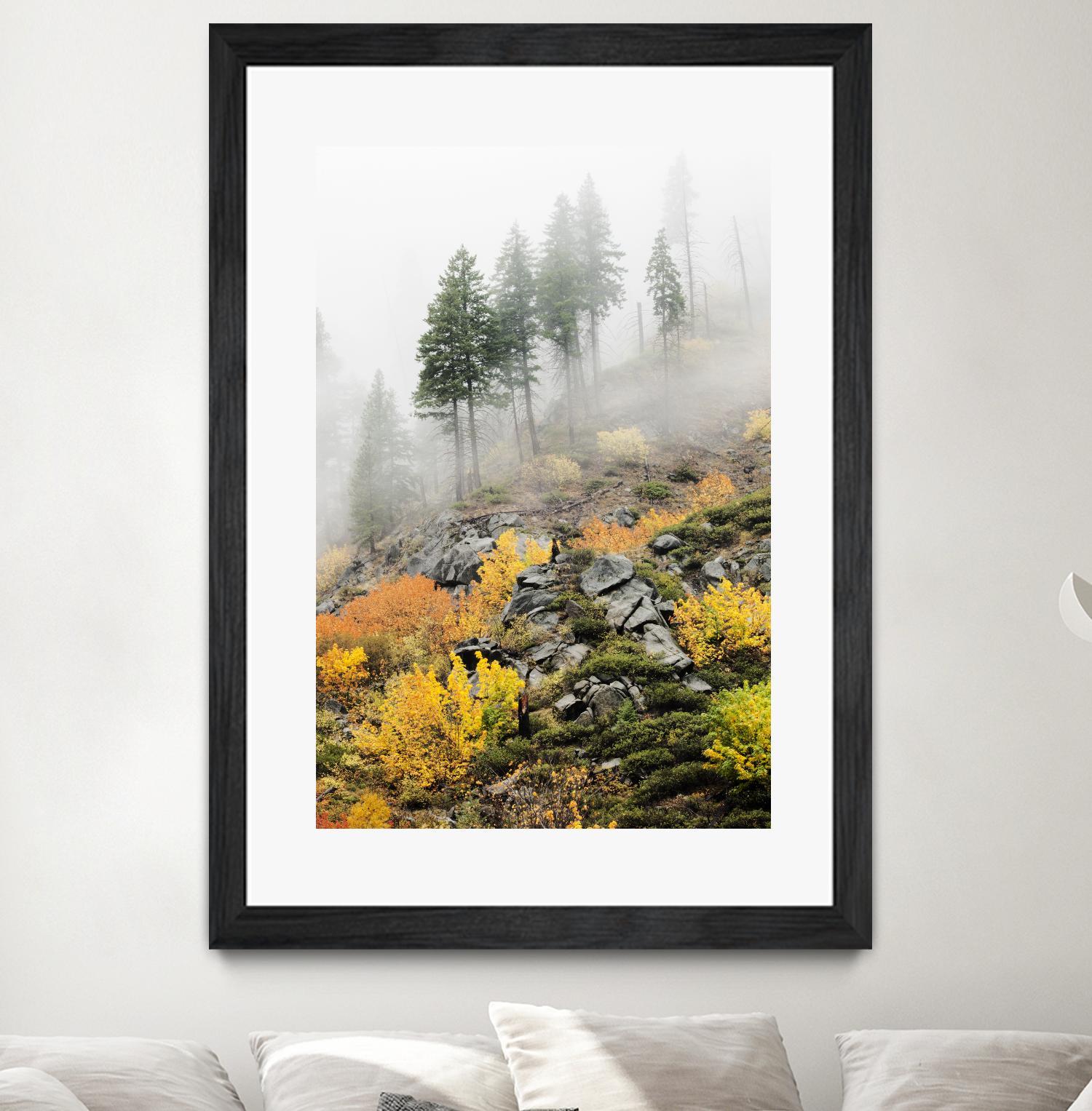 Photograph 8 by Aaron Matheson on GIANT ART - green landscape