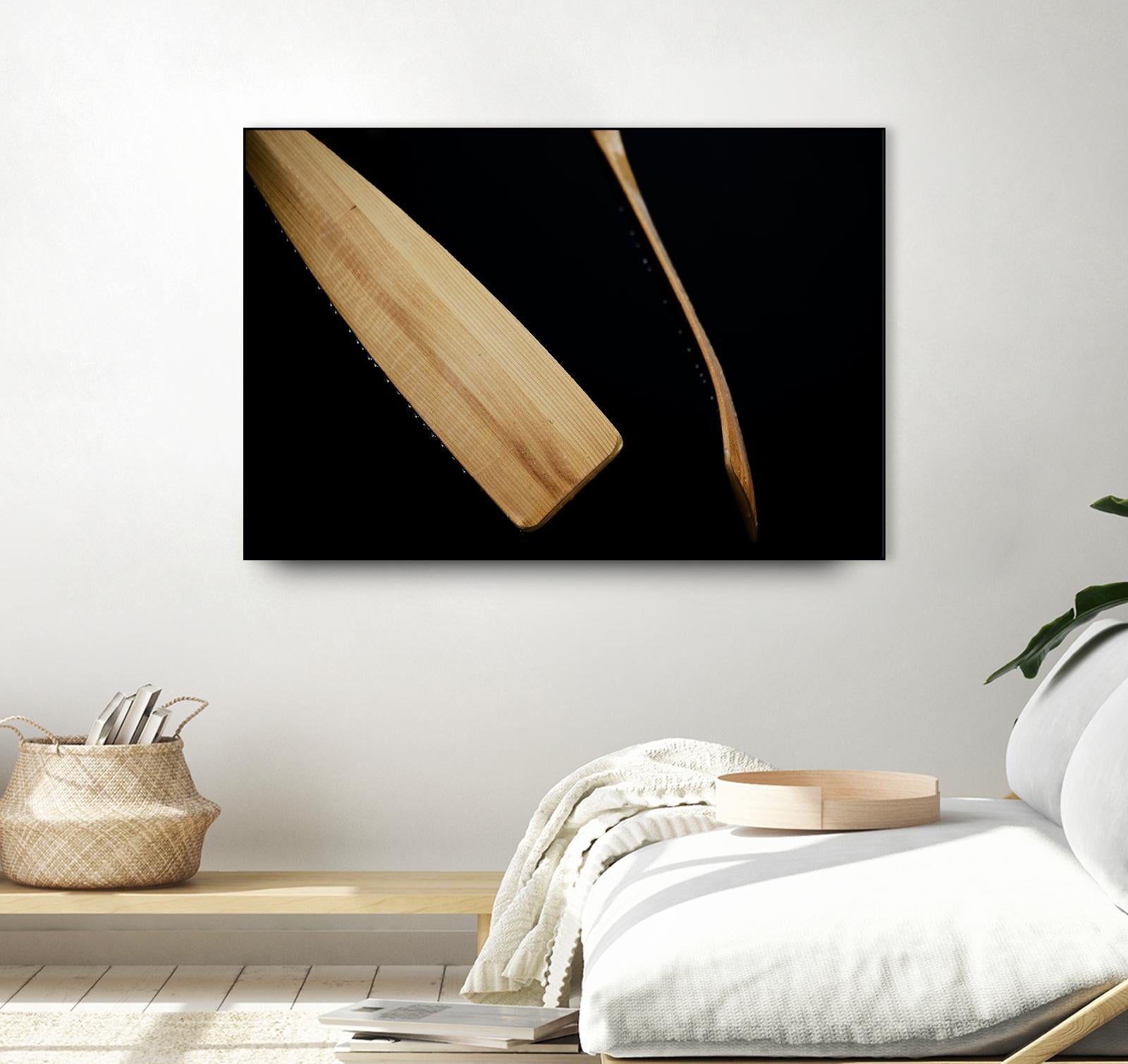 Paddles I by Melissa McClain on GIANT ART - beige photo art