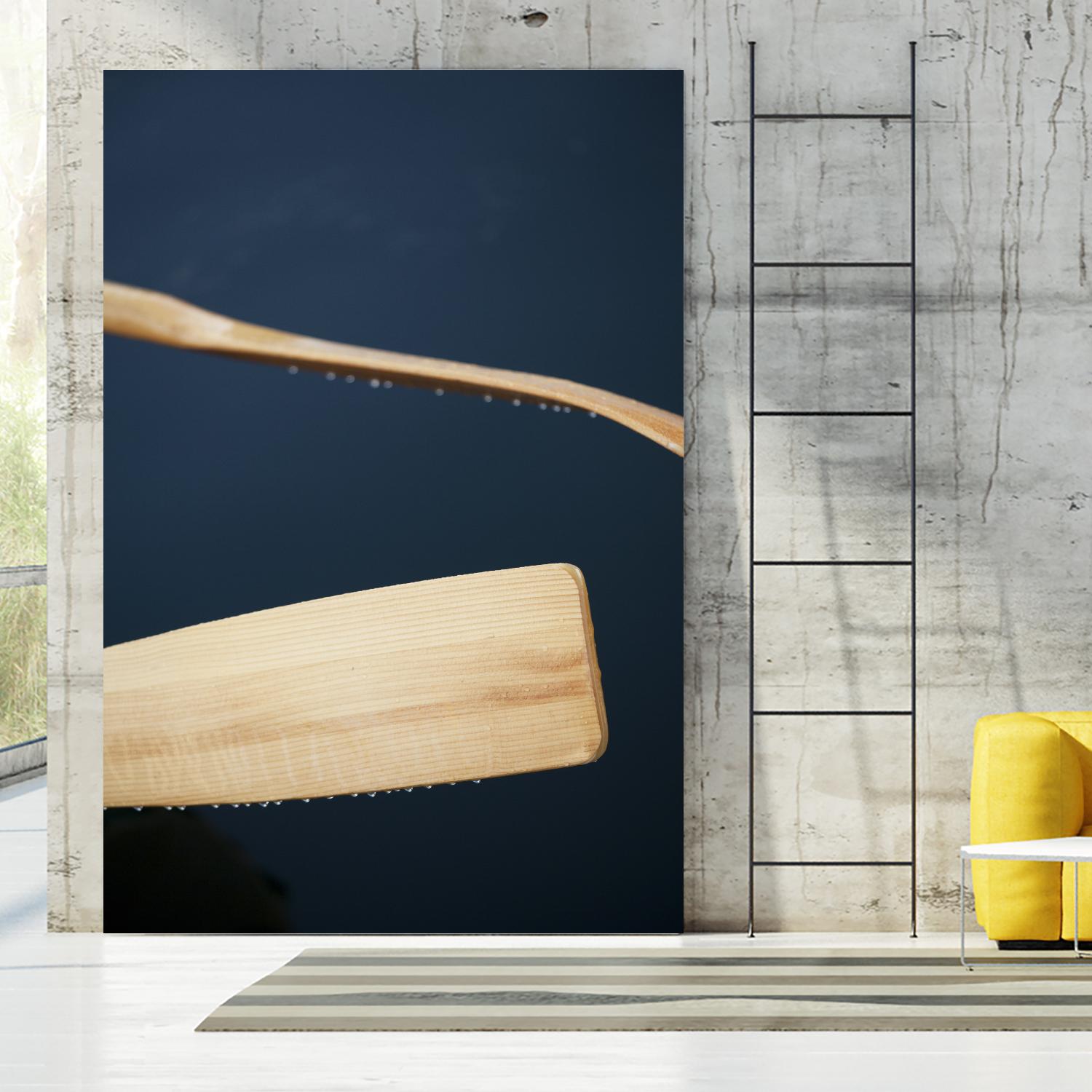 Paddles II by Melissa McClain on GIANT ART - beige photo art