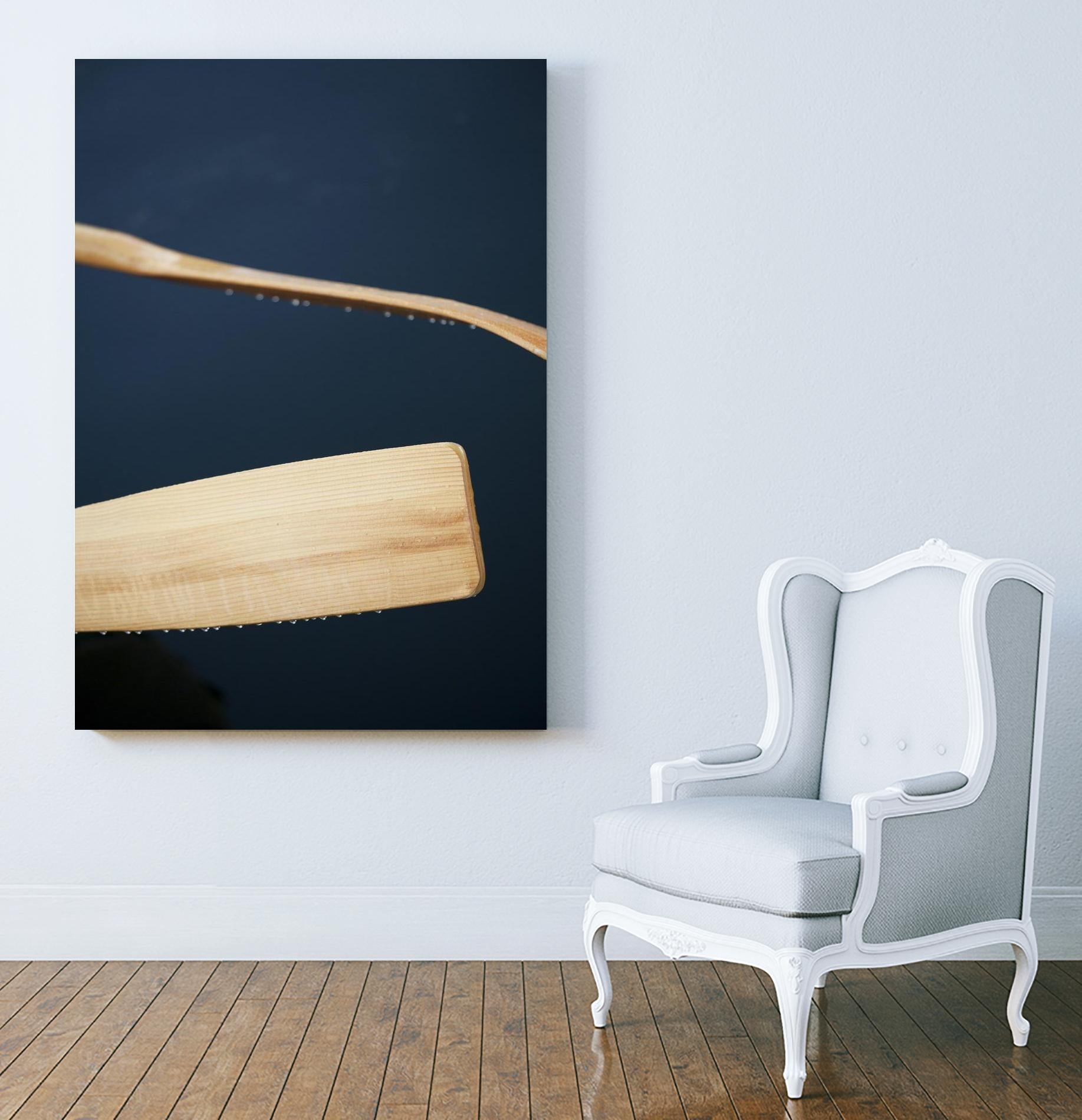 Paddles II by Melissa McClain on GIANT ART - beige photo art