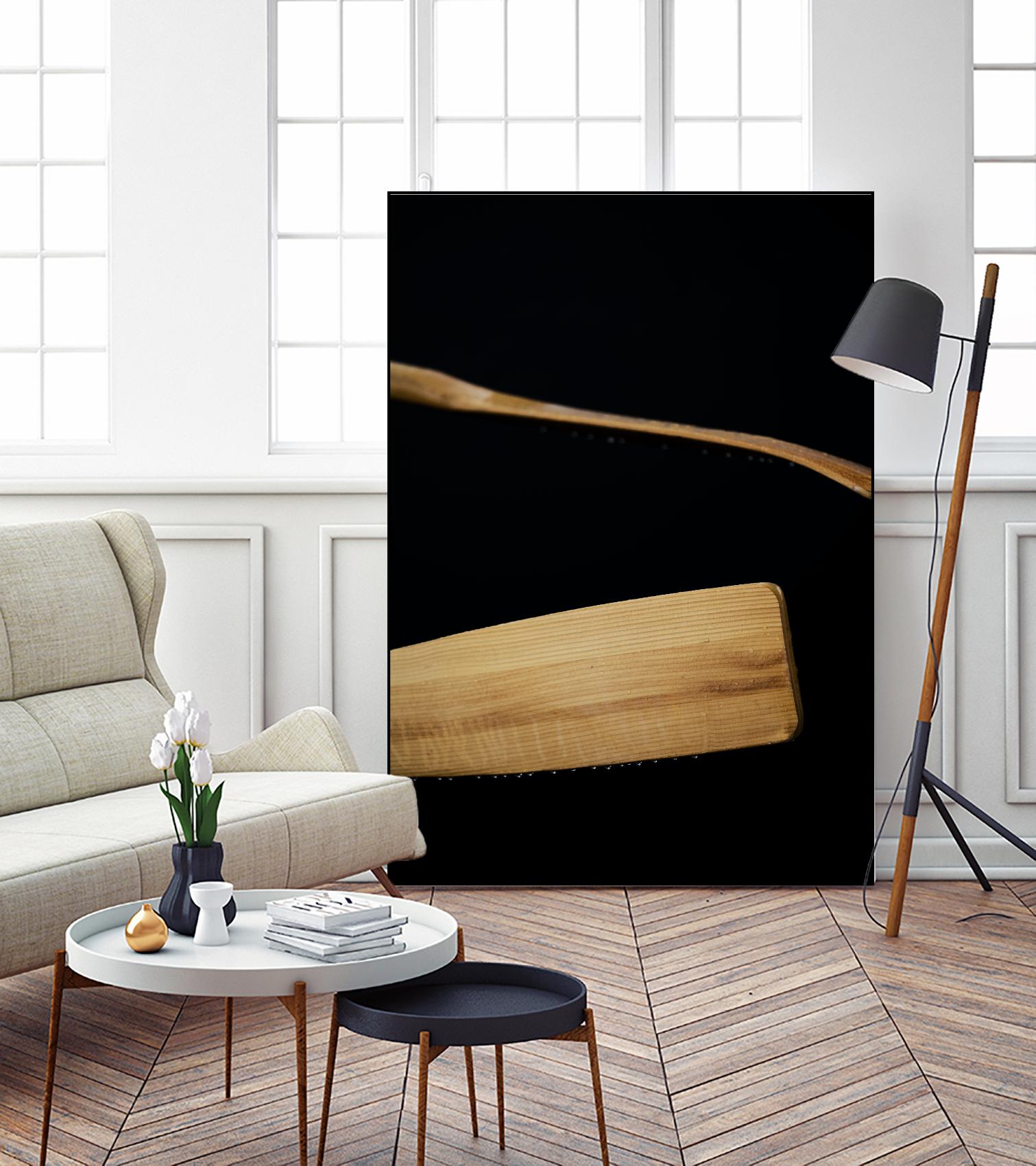 Paddles III by Melissa McClain on GIANT ART - beige photo art