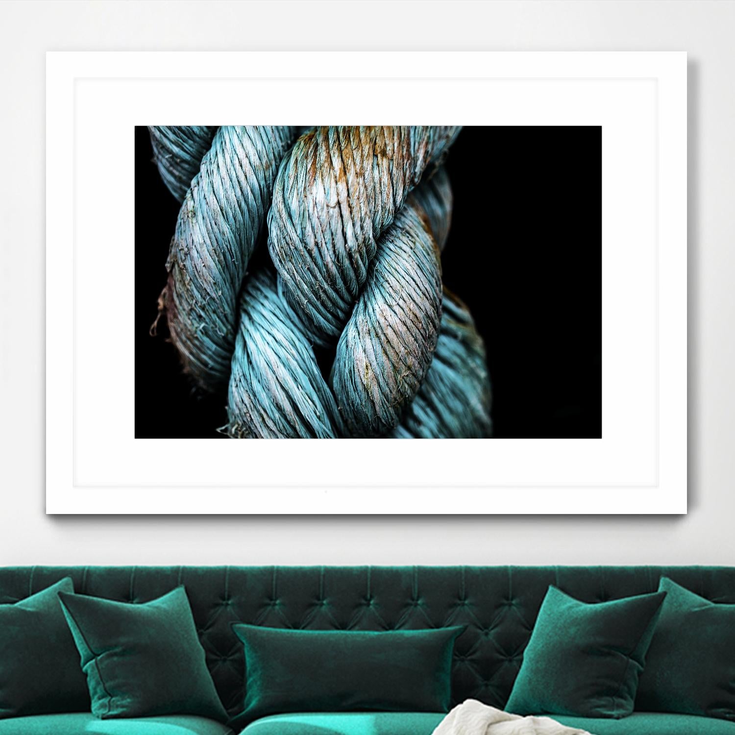 Ties that Bind by Melissa McClain on GIANT ART - black photo art