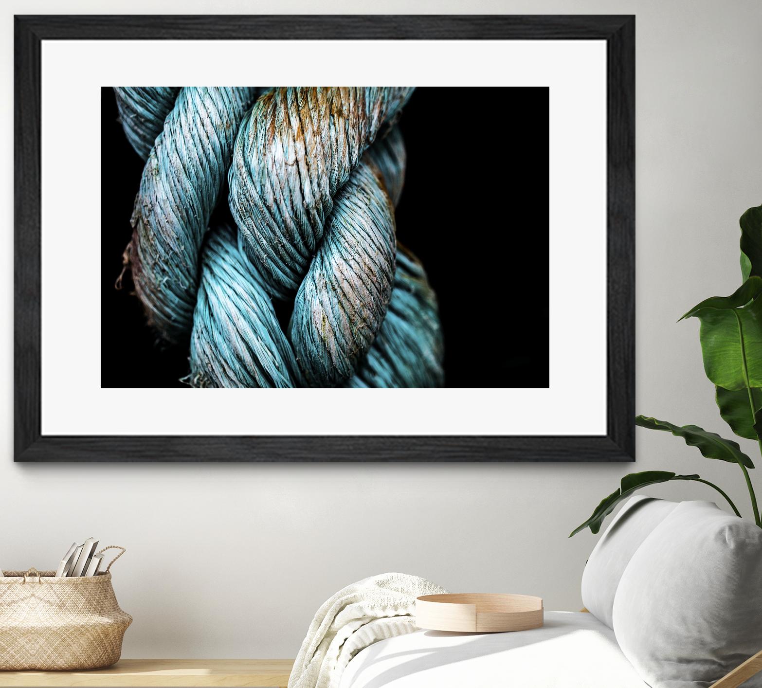 Ties that Bind by Melissa McClain on GIANT ART - black photo art