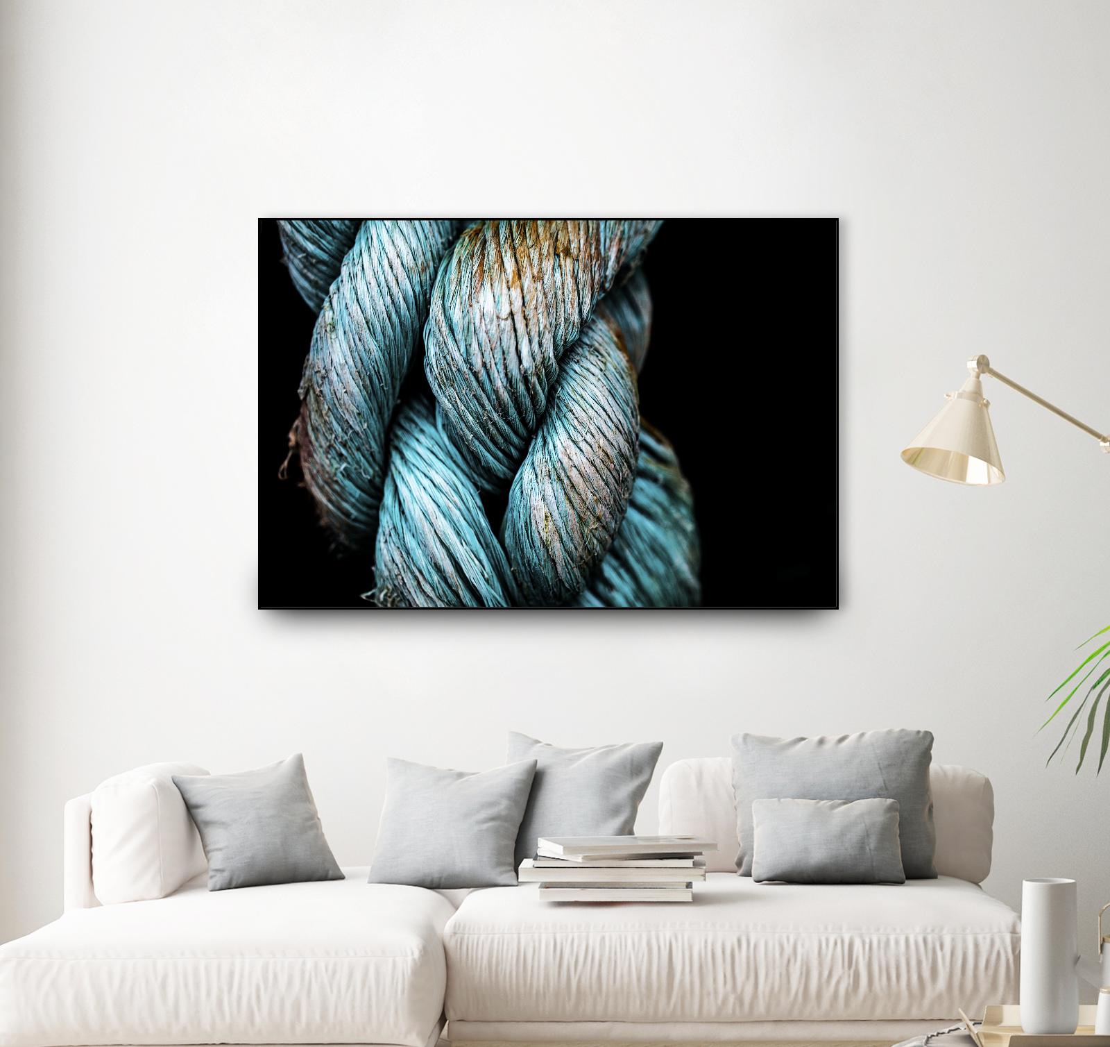 Ties that Bind by Melissa McClain on GIANT ART - black photo art