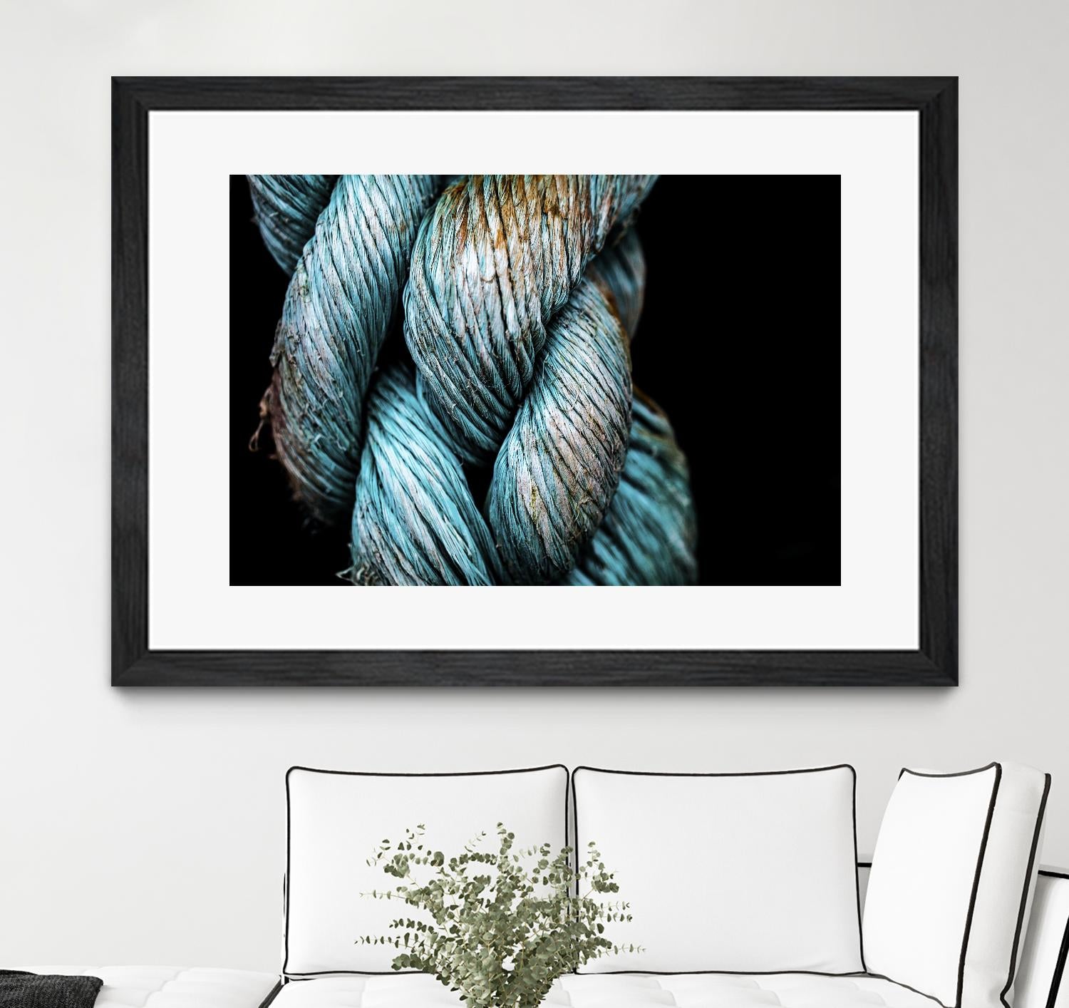 Ties that Bind by Melissa McClain on GIANT ART - black photo art