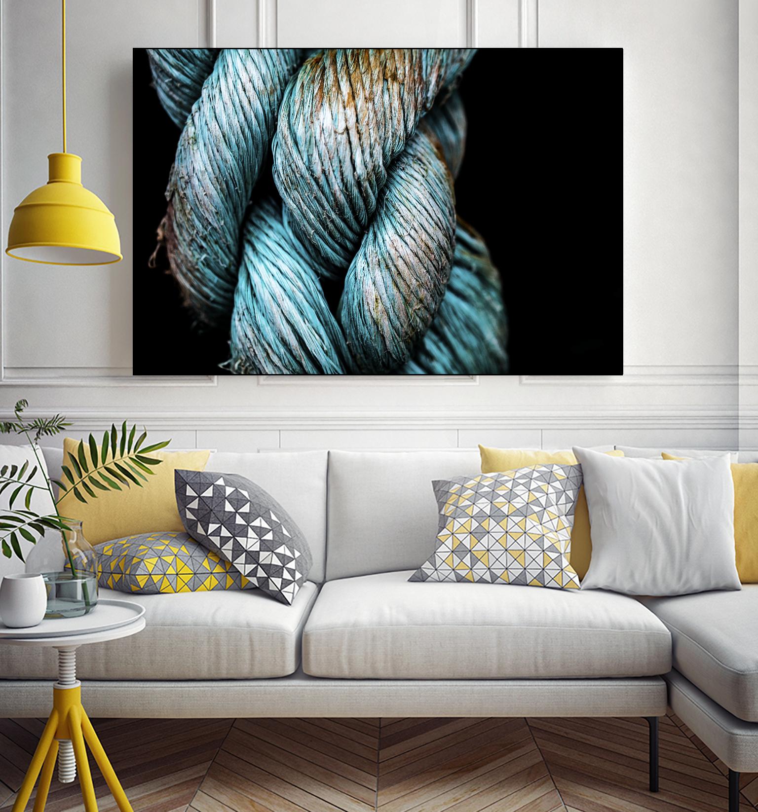 Ties that Bind by Melissa McClain on GIANT ART - black photo art