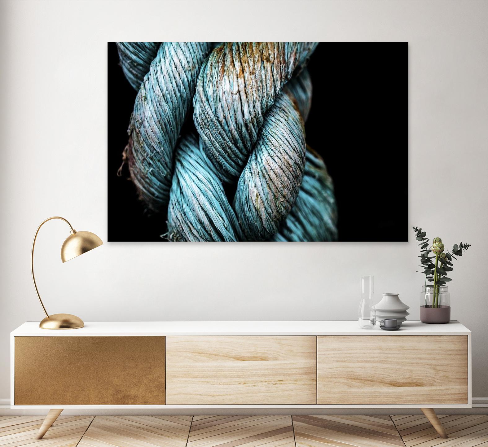Ties that Bind by Melissa McClain on GIANT ART - black photo art