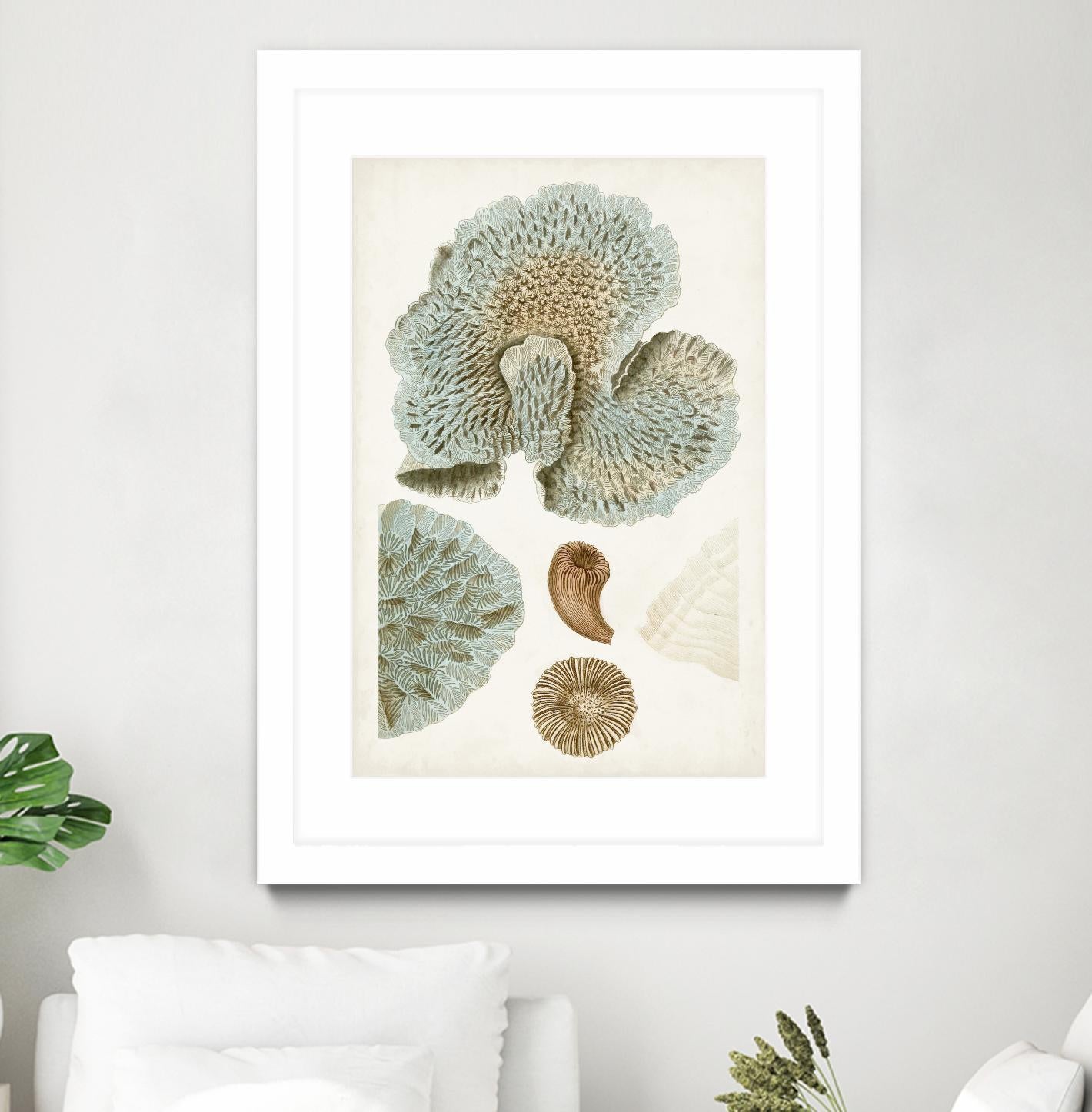 Coastal Curiosity V by Unknown on GIANT ART - green coastal & tropical abstract