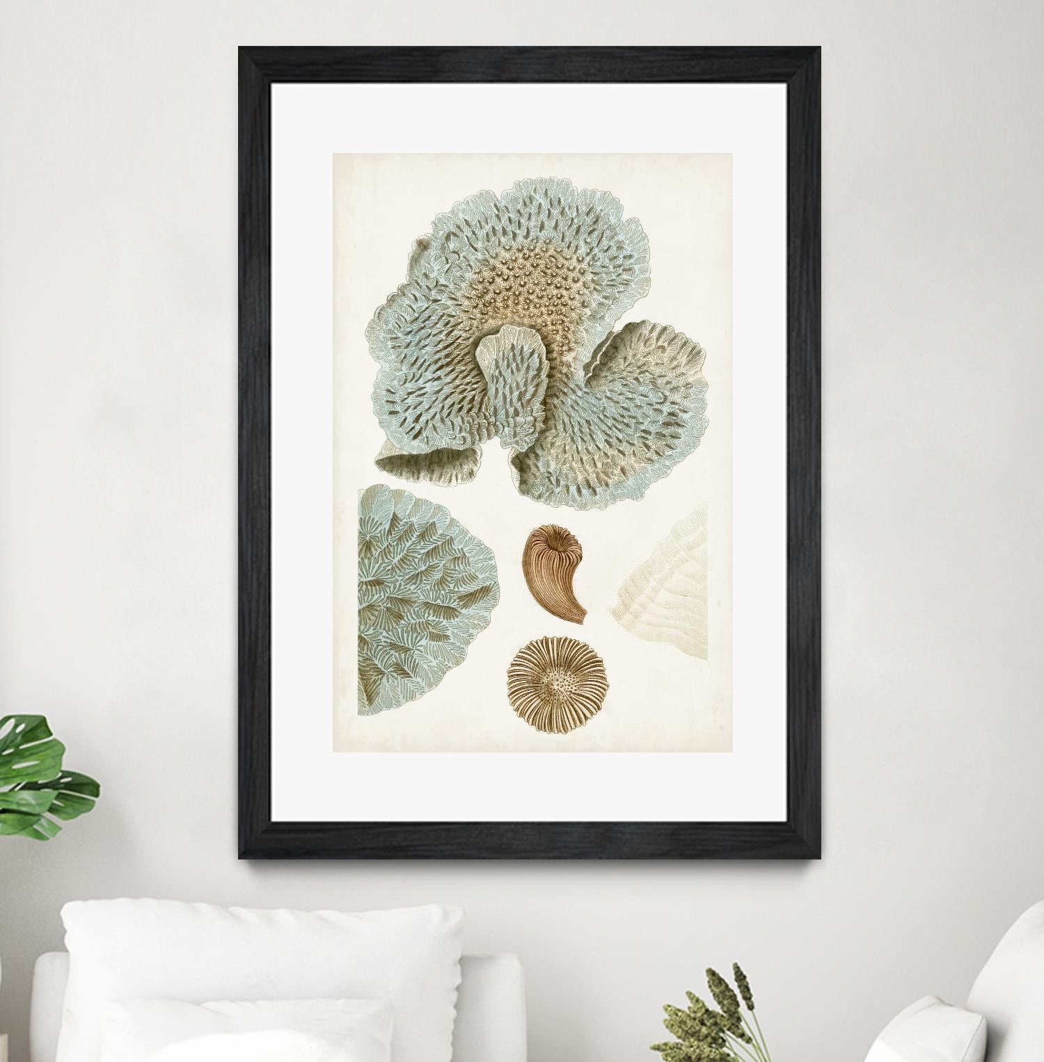 Coastal Curiosity V by Unknown on GIANT ART - green coastal & tropical abstract