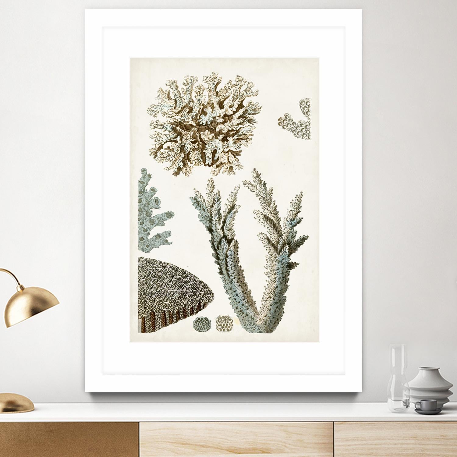 Coastal Curiosity VI by Unknown on GIANT ART - beige coastal & tropical sea