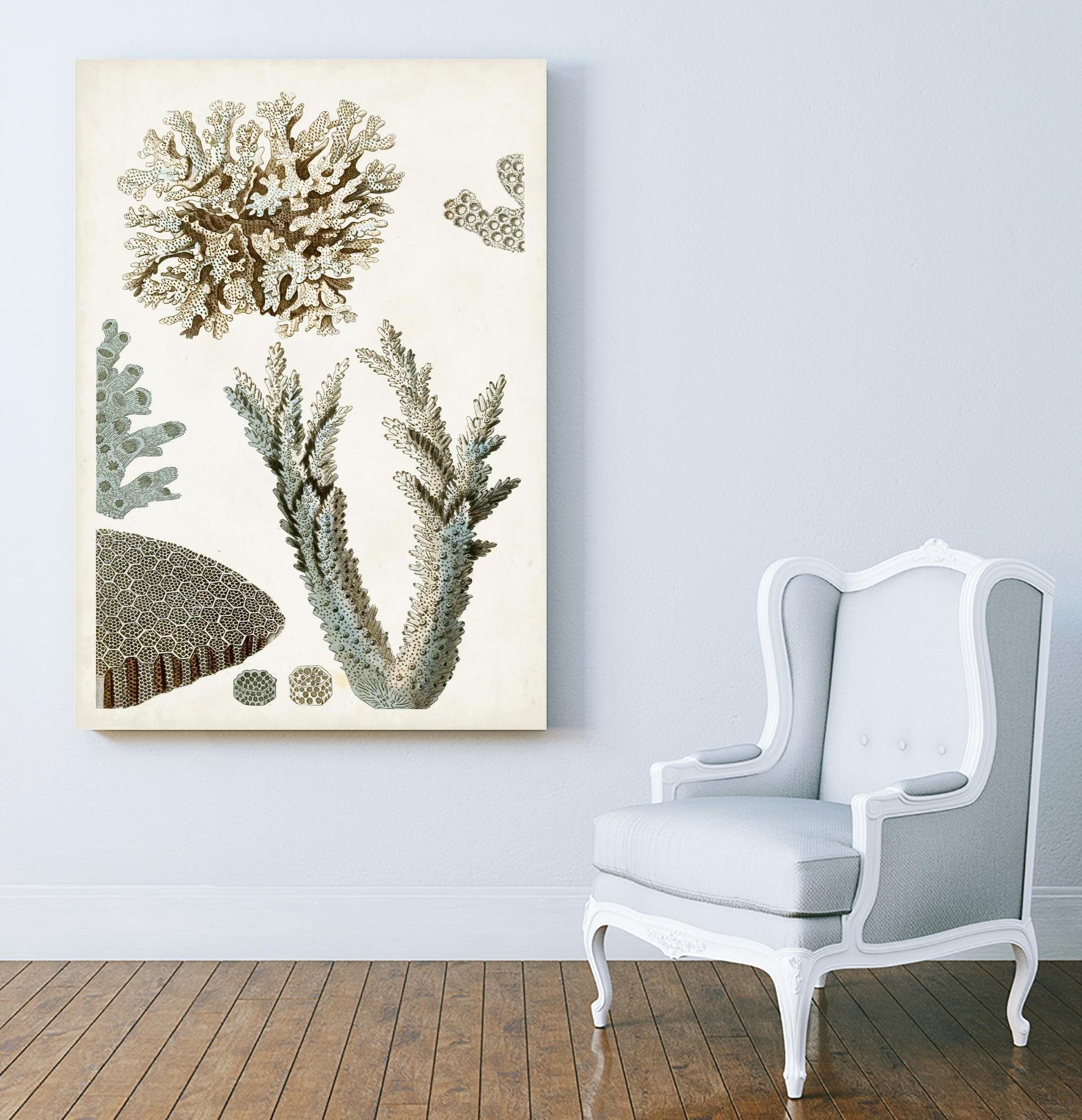 Coastal Curiosity VI by Unknown on GIANT ART - beige coastal & tropical sea