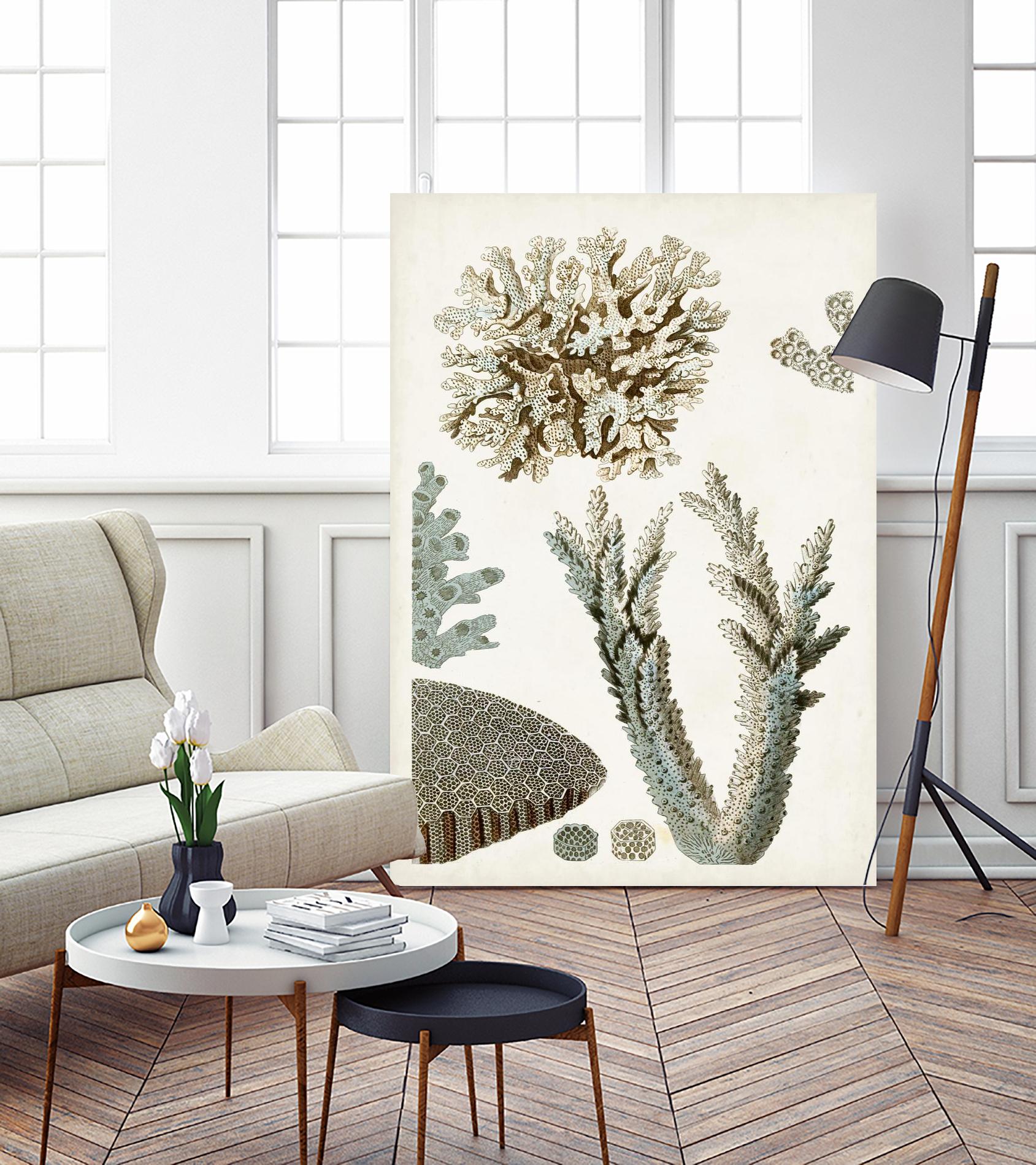 Coastal Curiosity VI by Unknown on GIANT ART - beige coastal & tropical sea