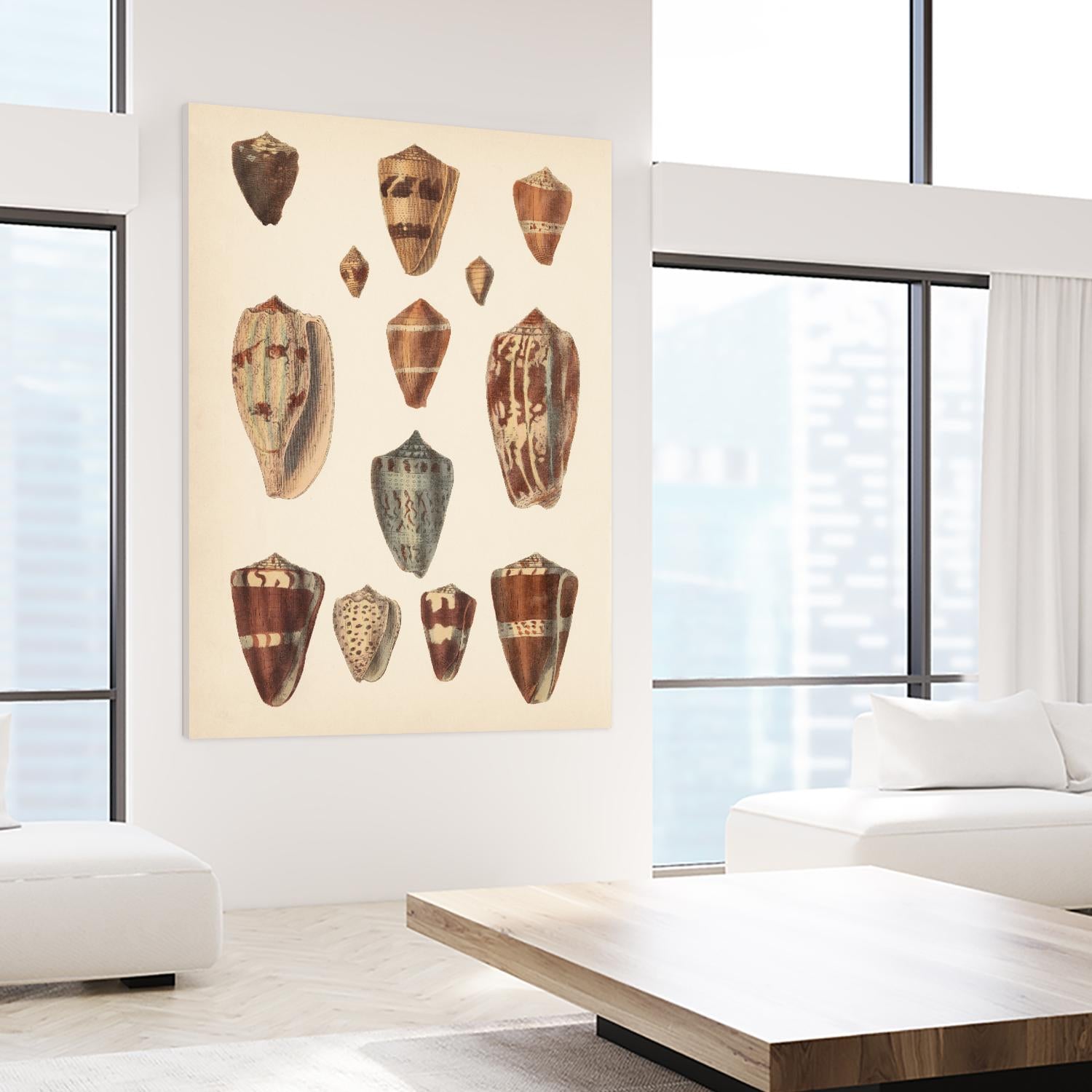Antique Cone Shells II by Unknown on GIANT ART - beige seashell