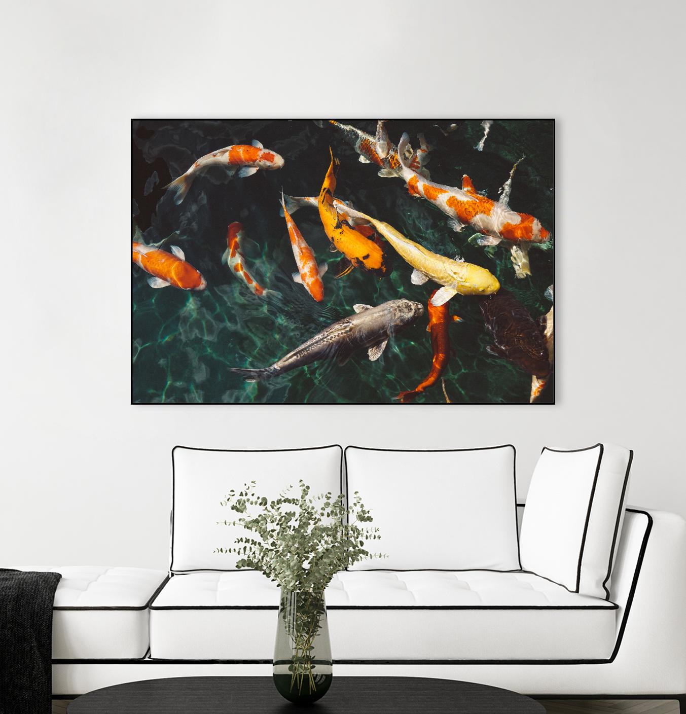 Koi by Pexels on GIANT ART - green animals