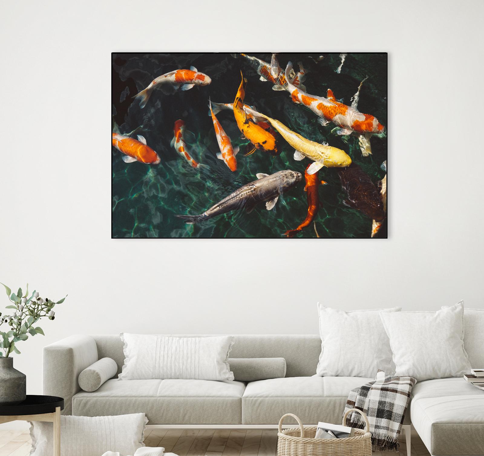 Koi by Pexels on GIANT ART - green animals