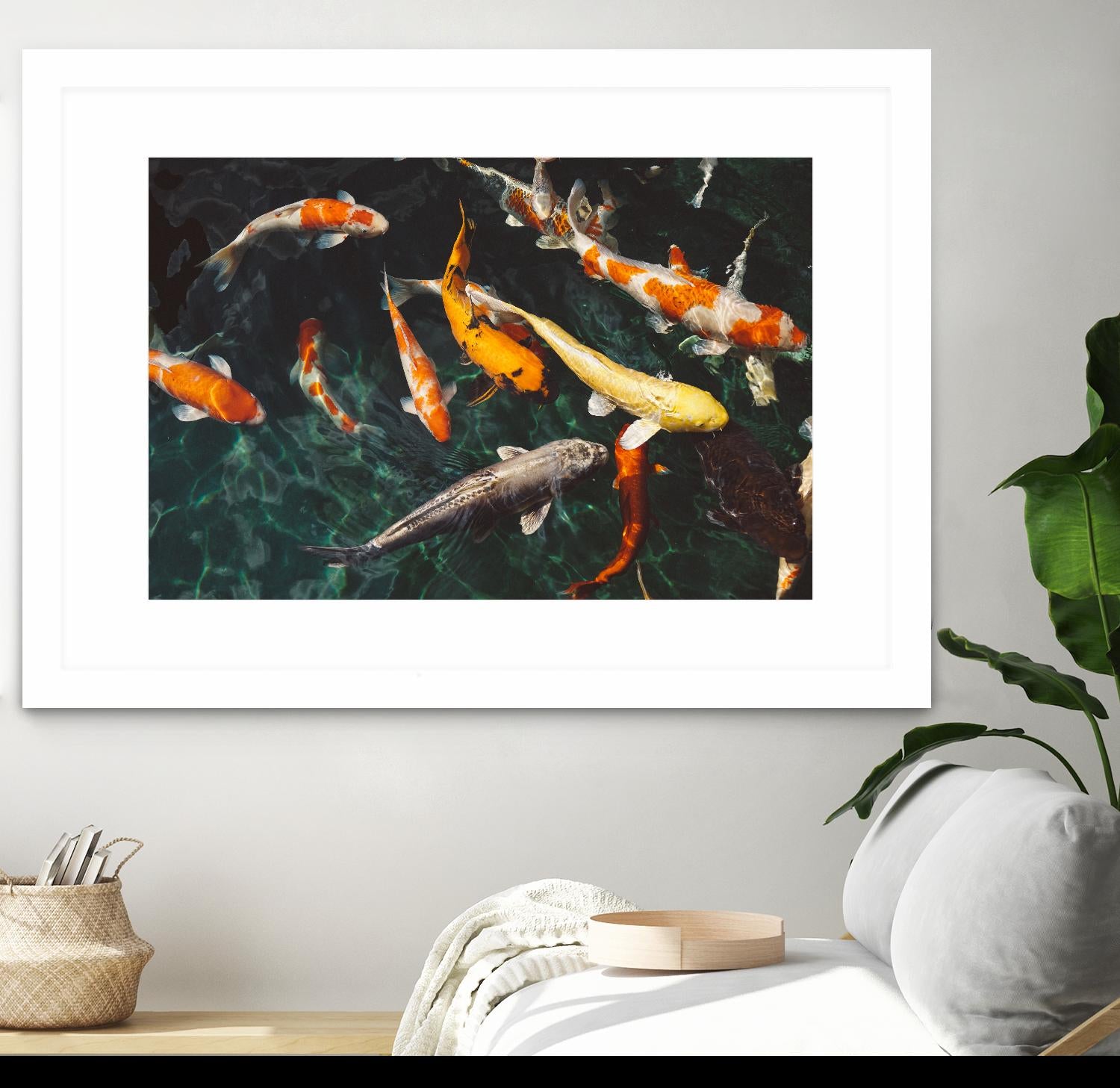 Koi by Pexels on GIANT ART - green animals