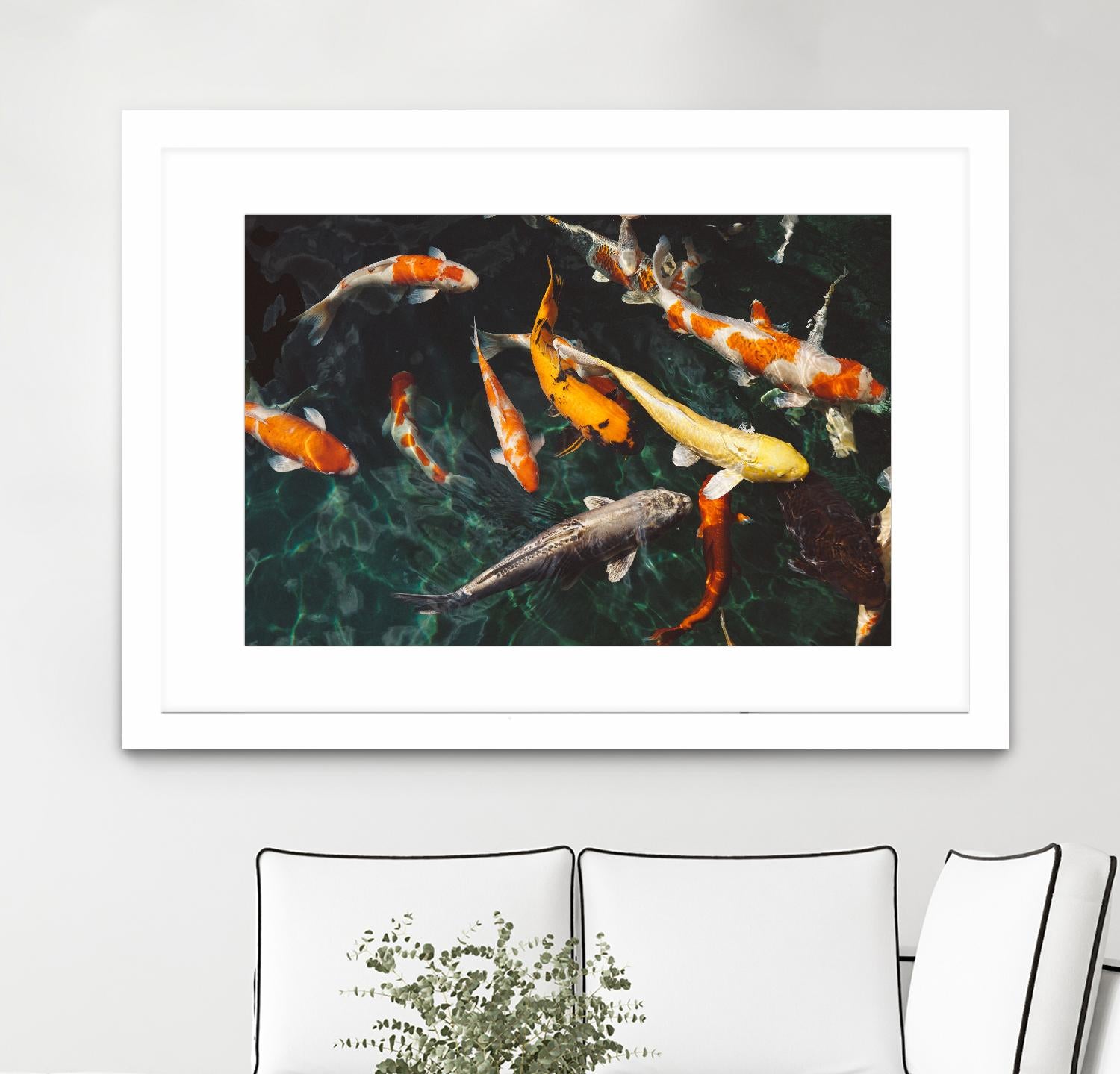 Koi by Pexels on GIANT ART - green animals