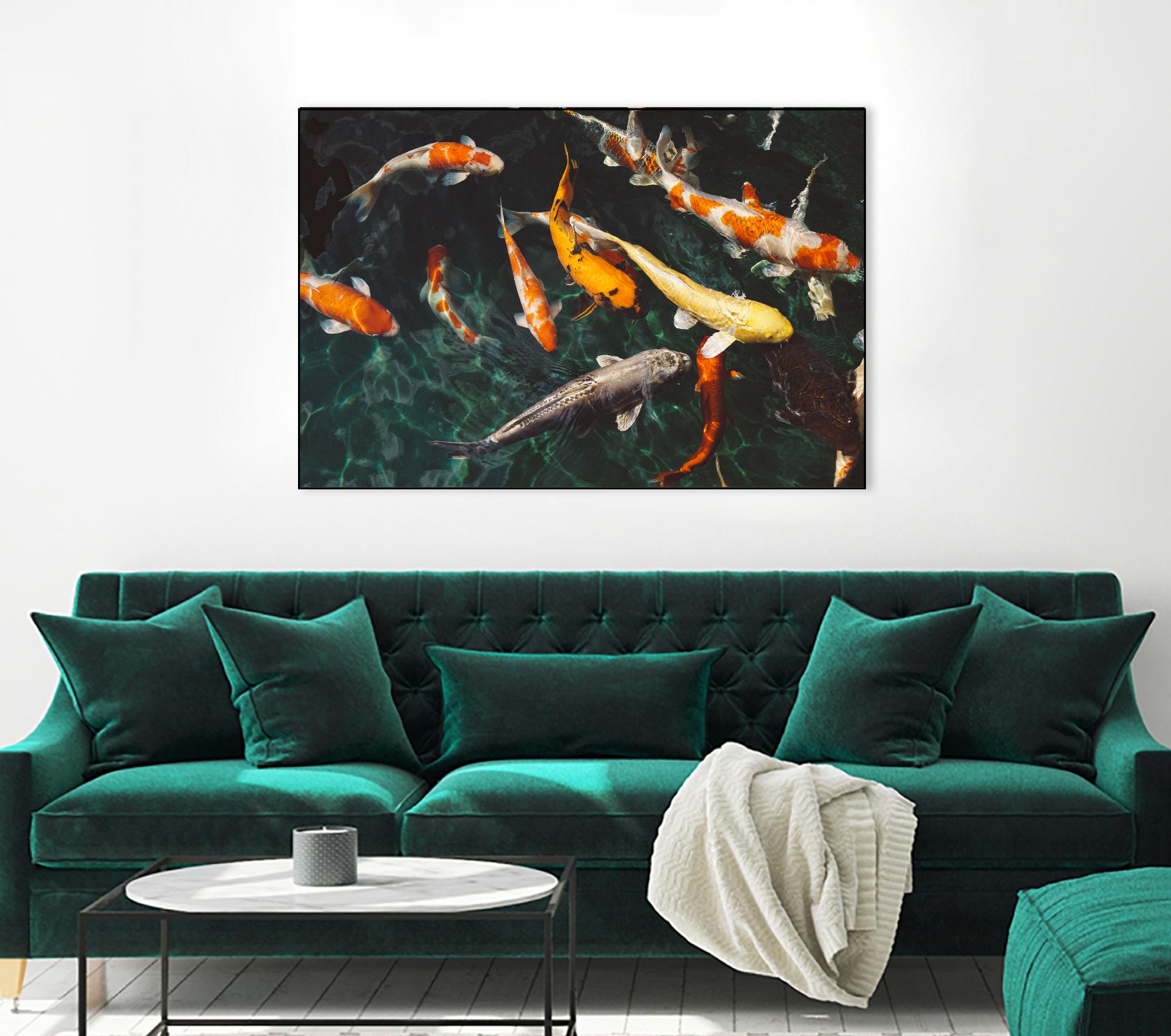 Koi by Pexels on GIANT ART - green animals