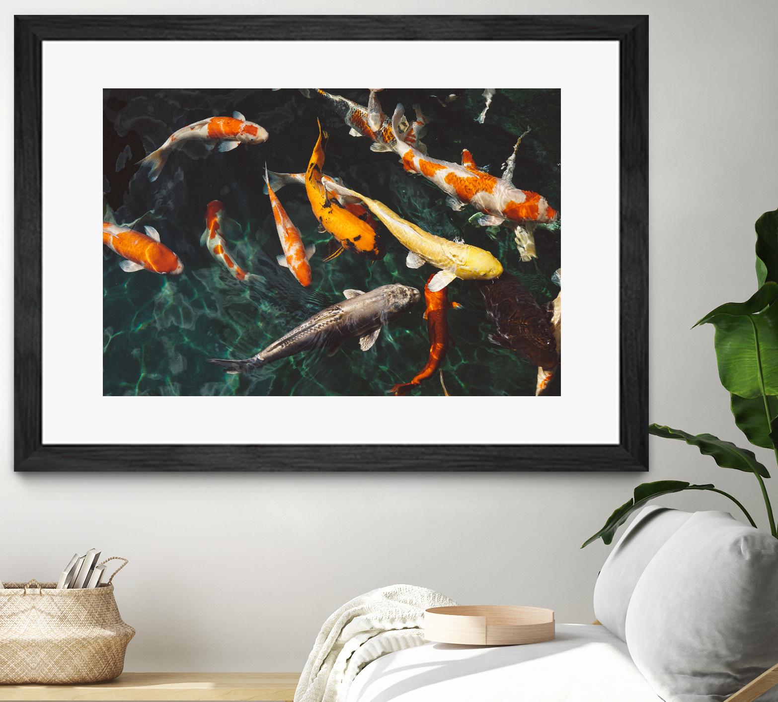 Koi by Pexels on GIANT ART - green animals