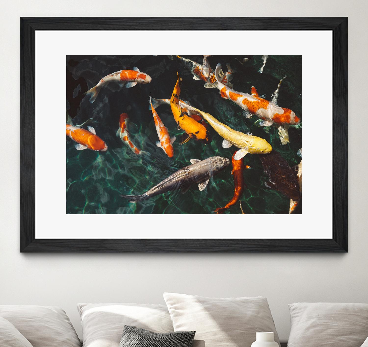 Koi by Pexels on GIANT ART - green animals