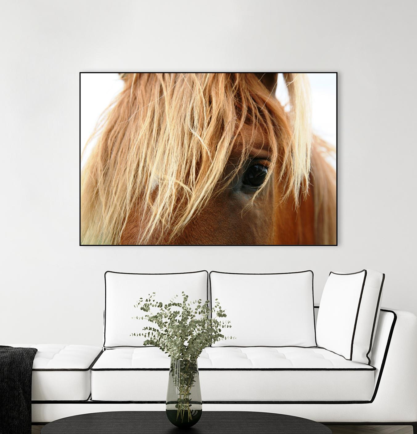 Horsey by Pexels on GIANT ART - white animals