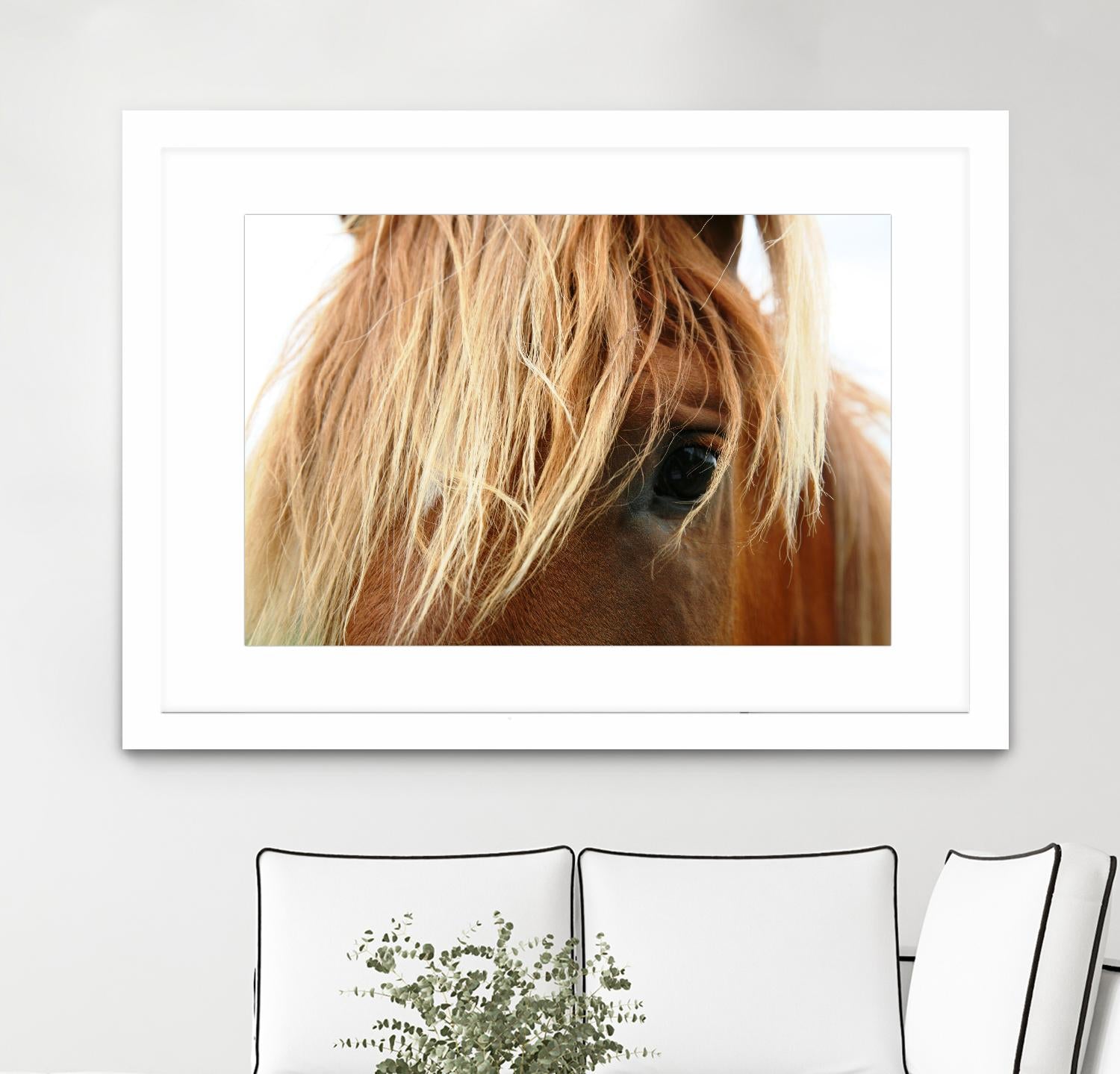 Horsey by Pexels on GIANT ART - white animals