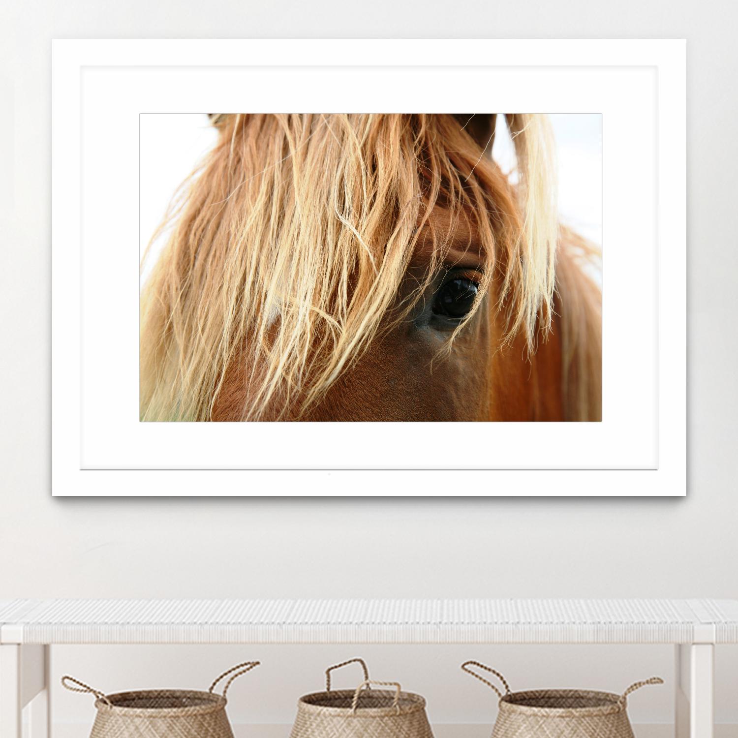 Horsey by Pexels on GIANT ART - white animals