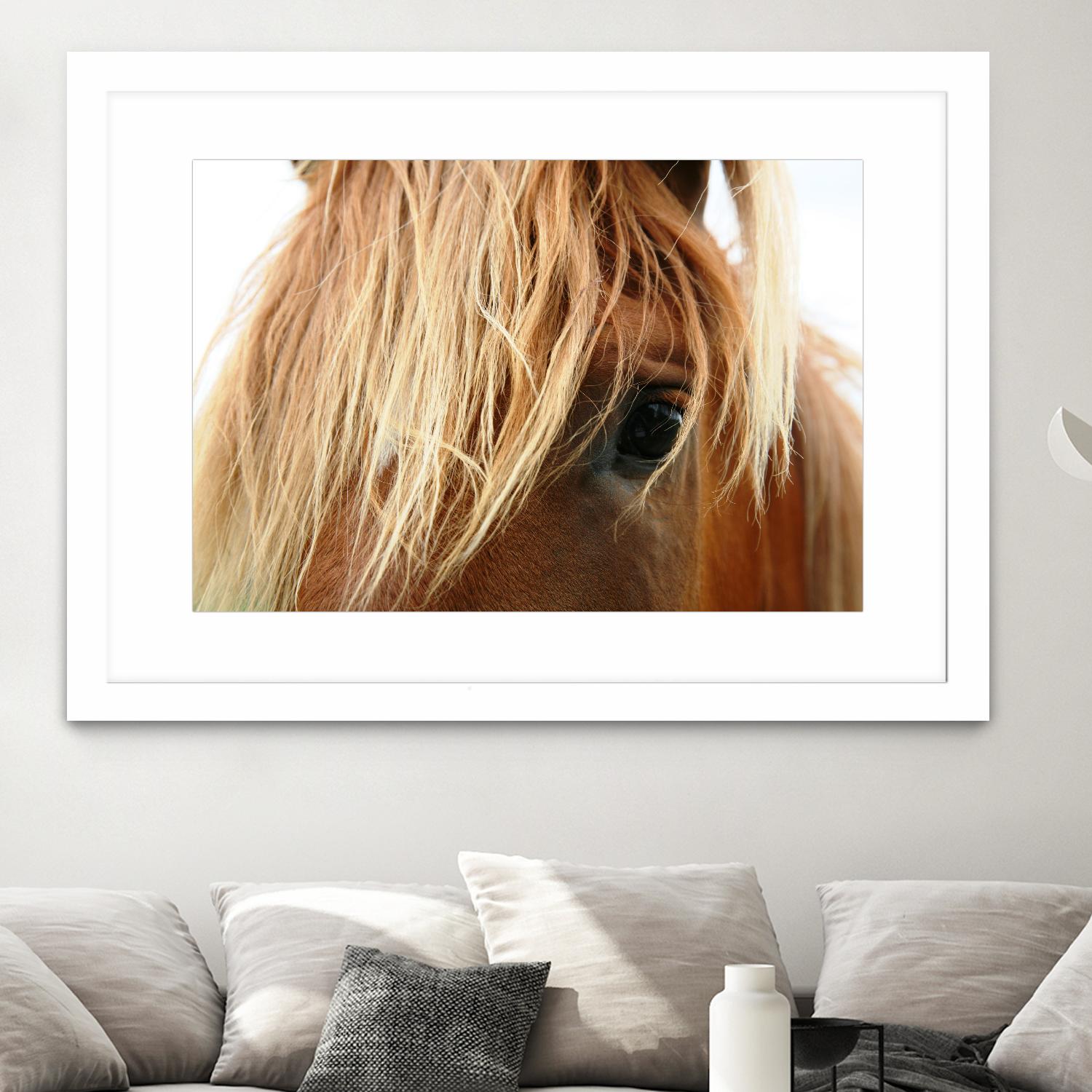 Horsey by Pexels on GIANT ART - white animals