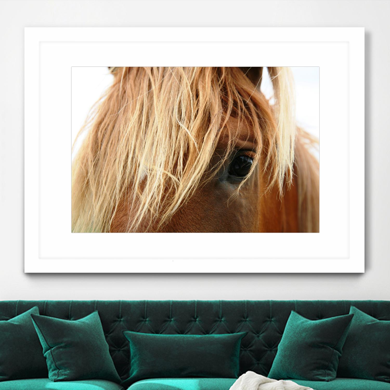 Horsey by Pexels on GIANT ART - white animals