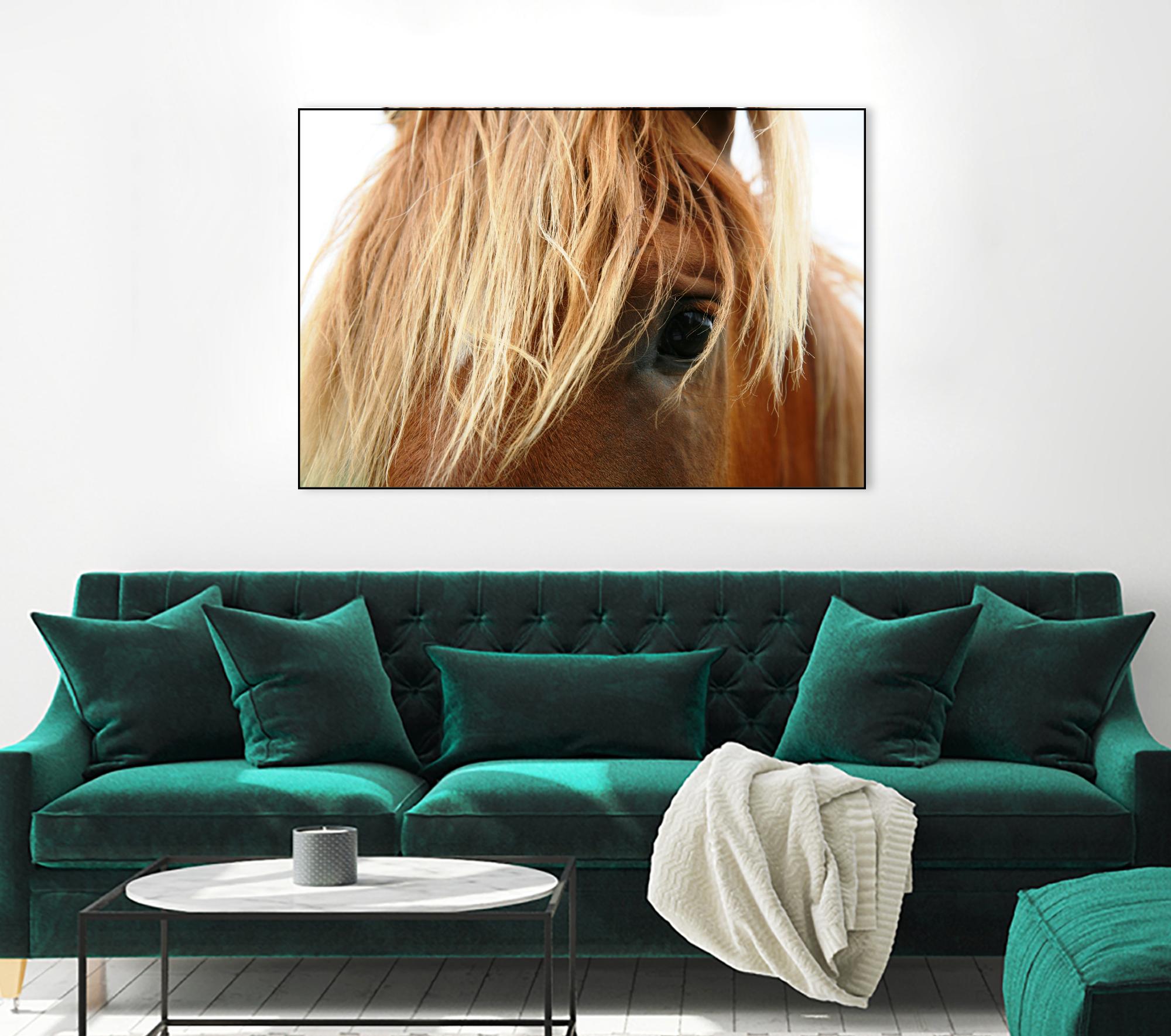 Horsey by Pexels on GIANT ART - white animals