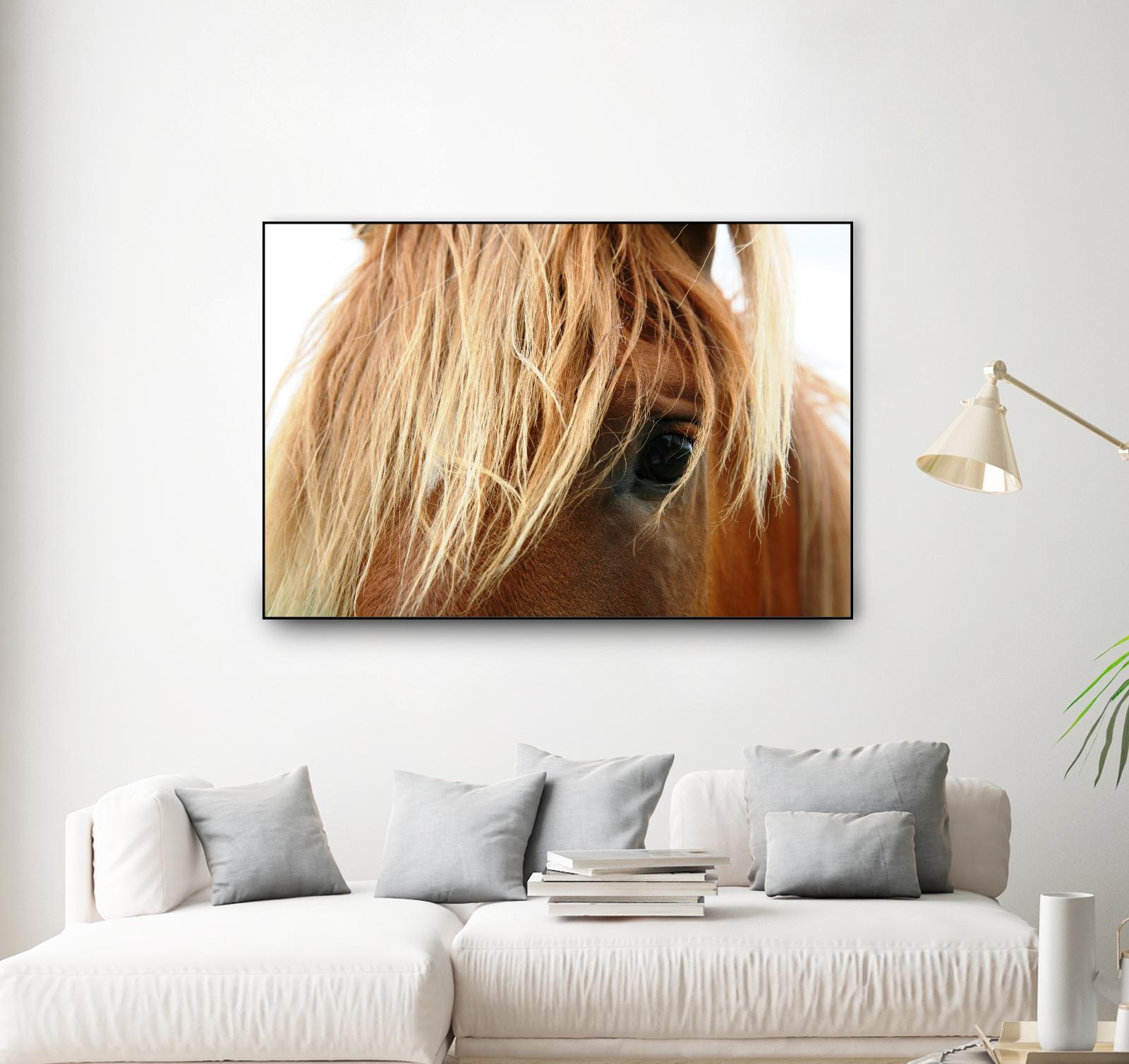 Horsey by Pexels on GIANT ART - white animals