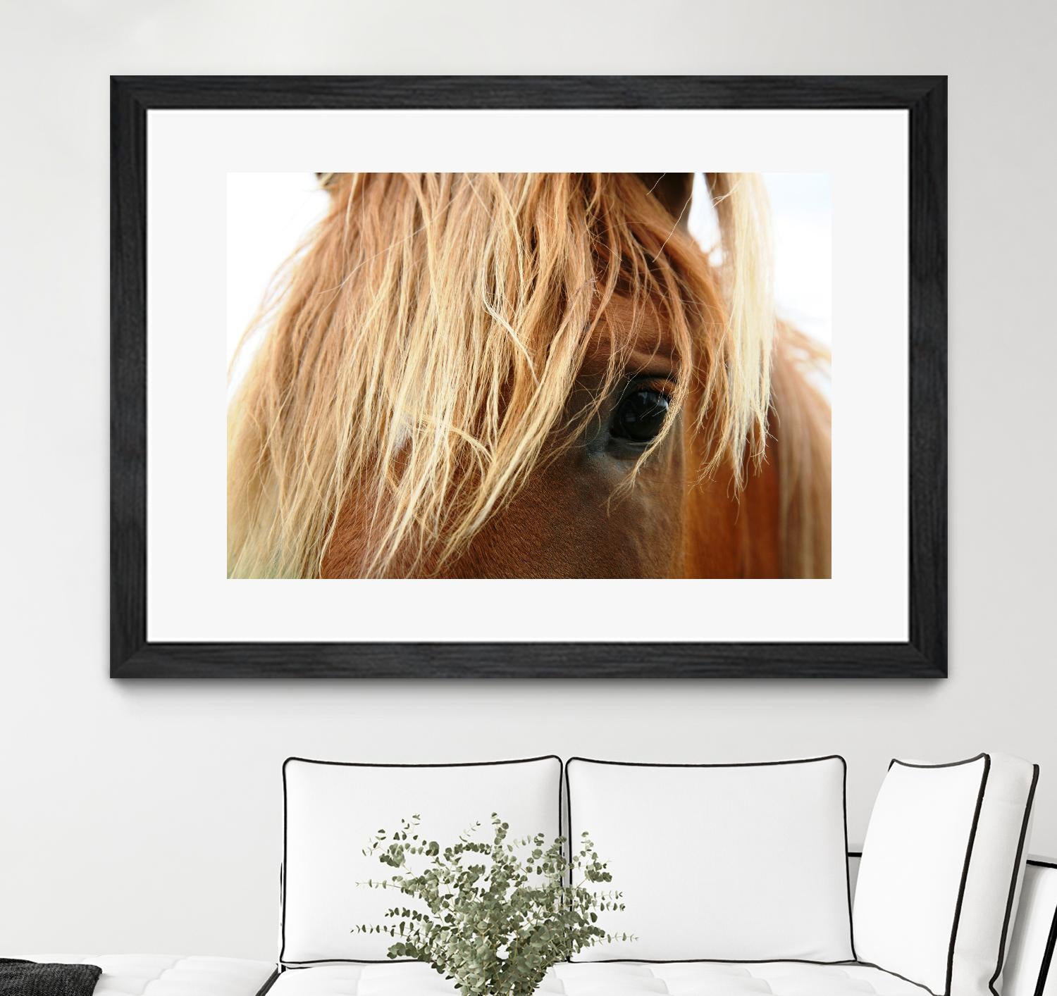 Horsey by Pexels on GIANT ART - white animals