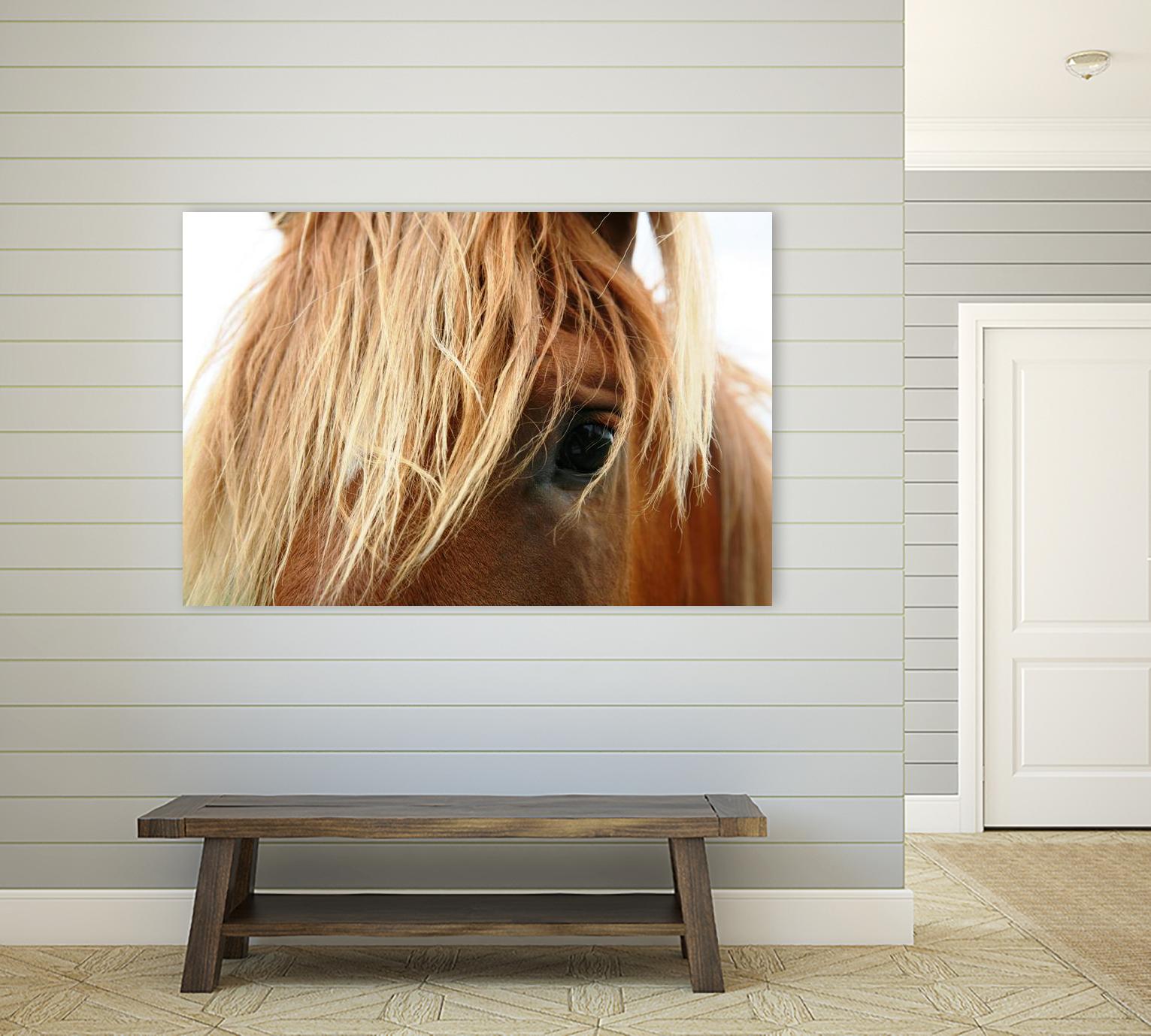 Horsey by Pexels on GIANT ART - white animals