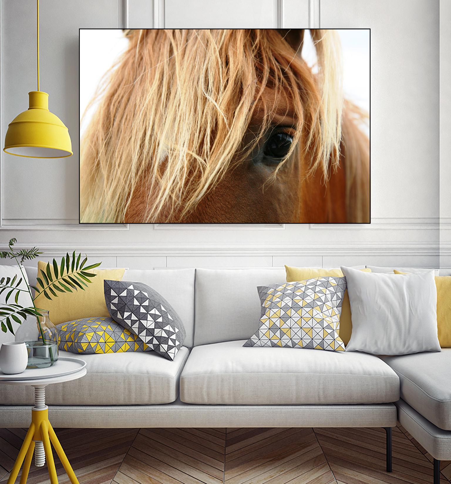 Horsey by Pexels on GIANT ART - white animals