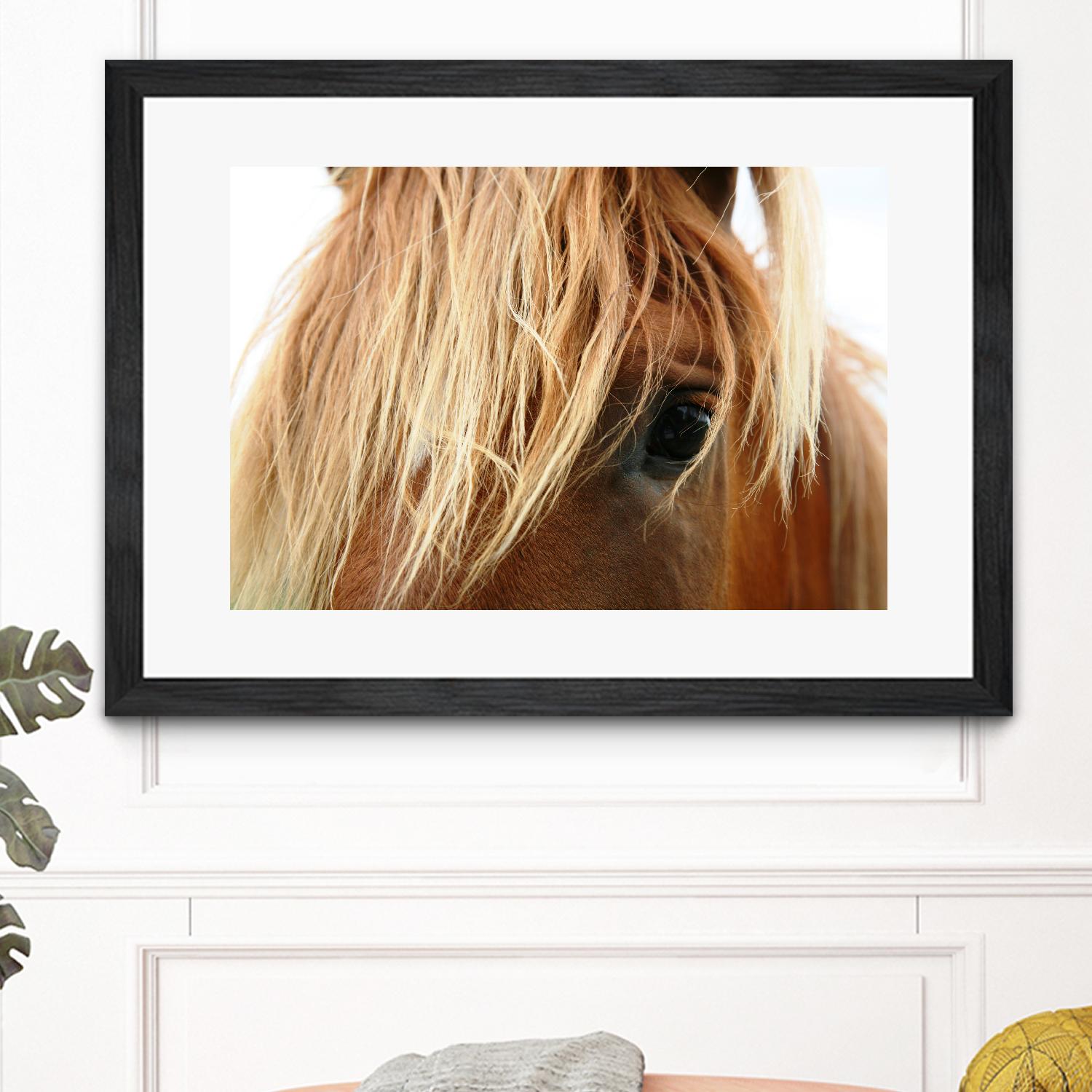 Horsey by Pexels on GIANT ART - white animals