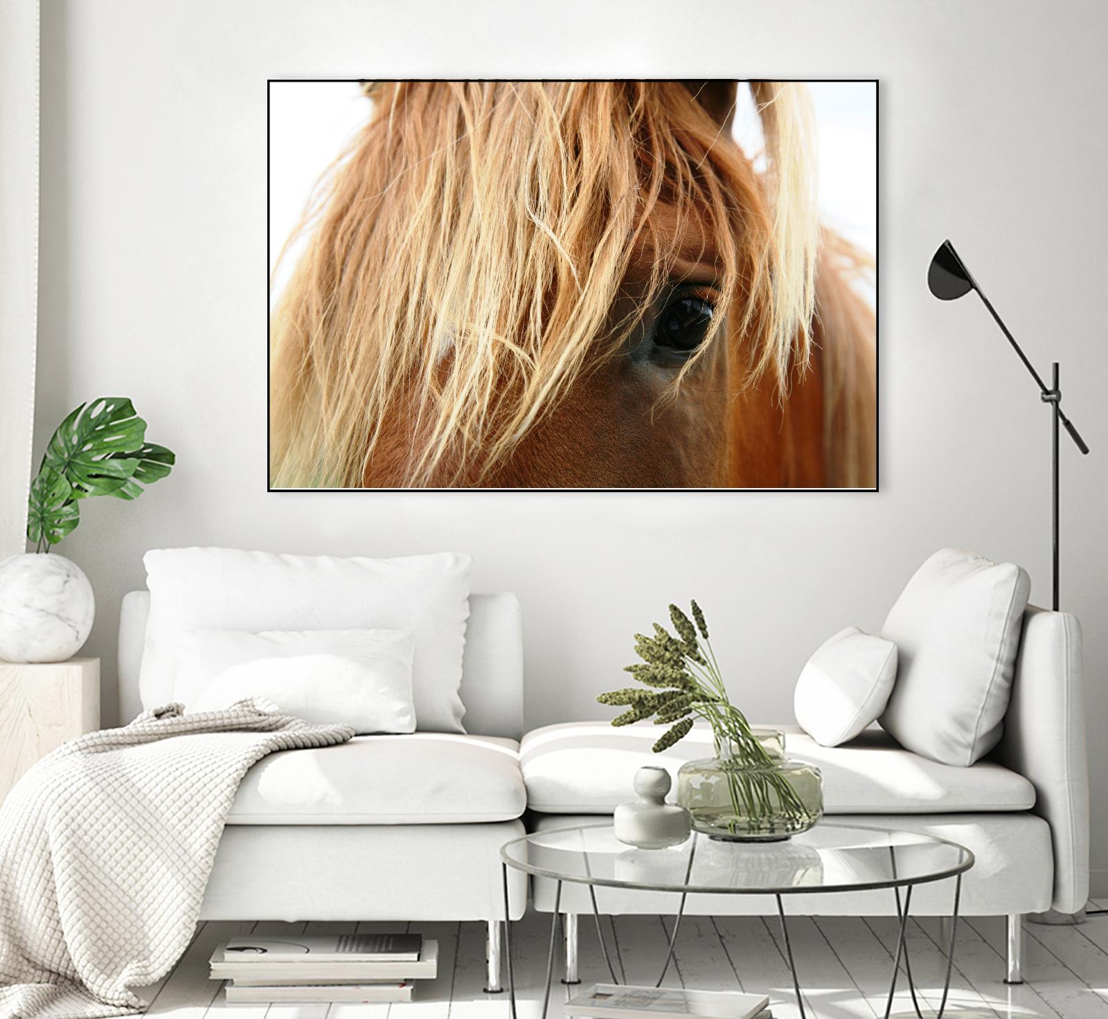 Horsey by Pexels on GIANT ART - white animals