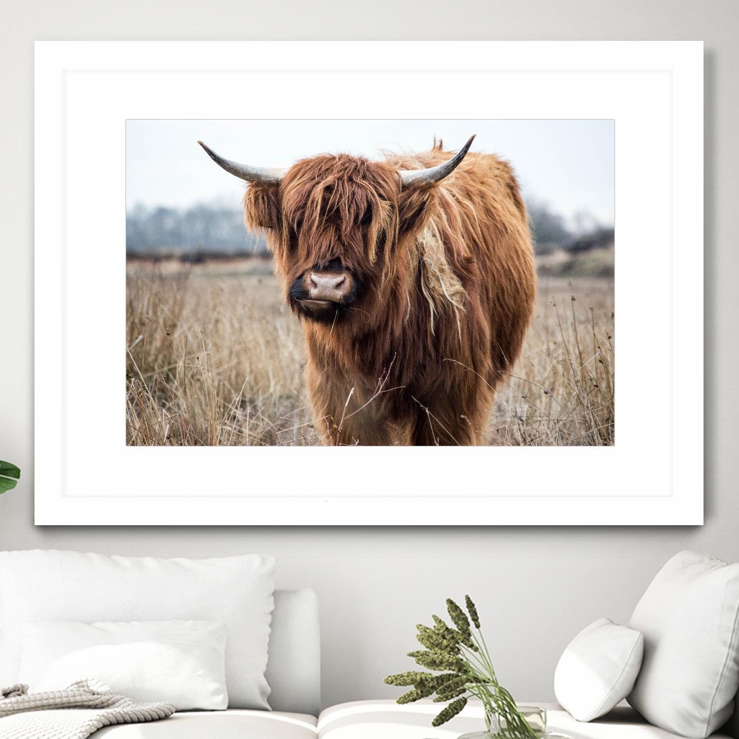 Grazing by Pexels on GIANT ART - black animals