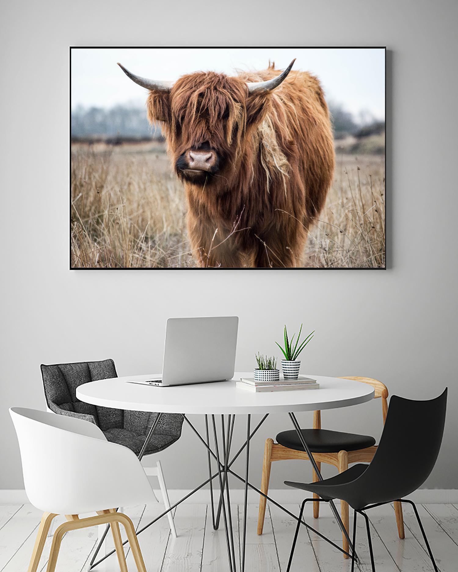 Grazing by Pexels on GIANT ART - black animals