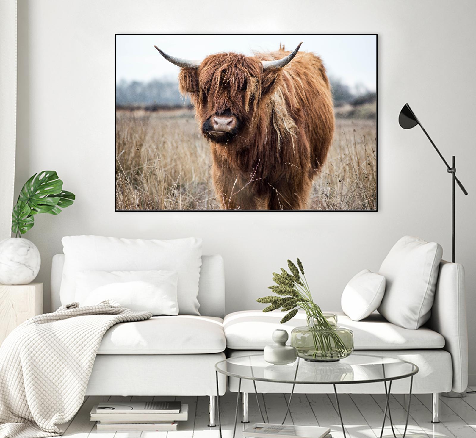 Grazing by Pexels on GIANT ART - black animals