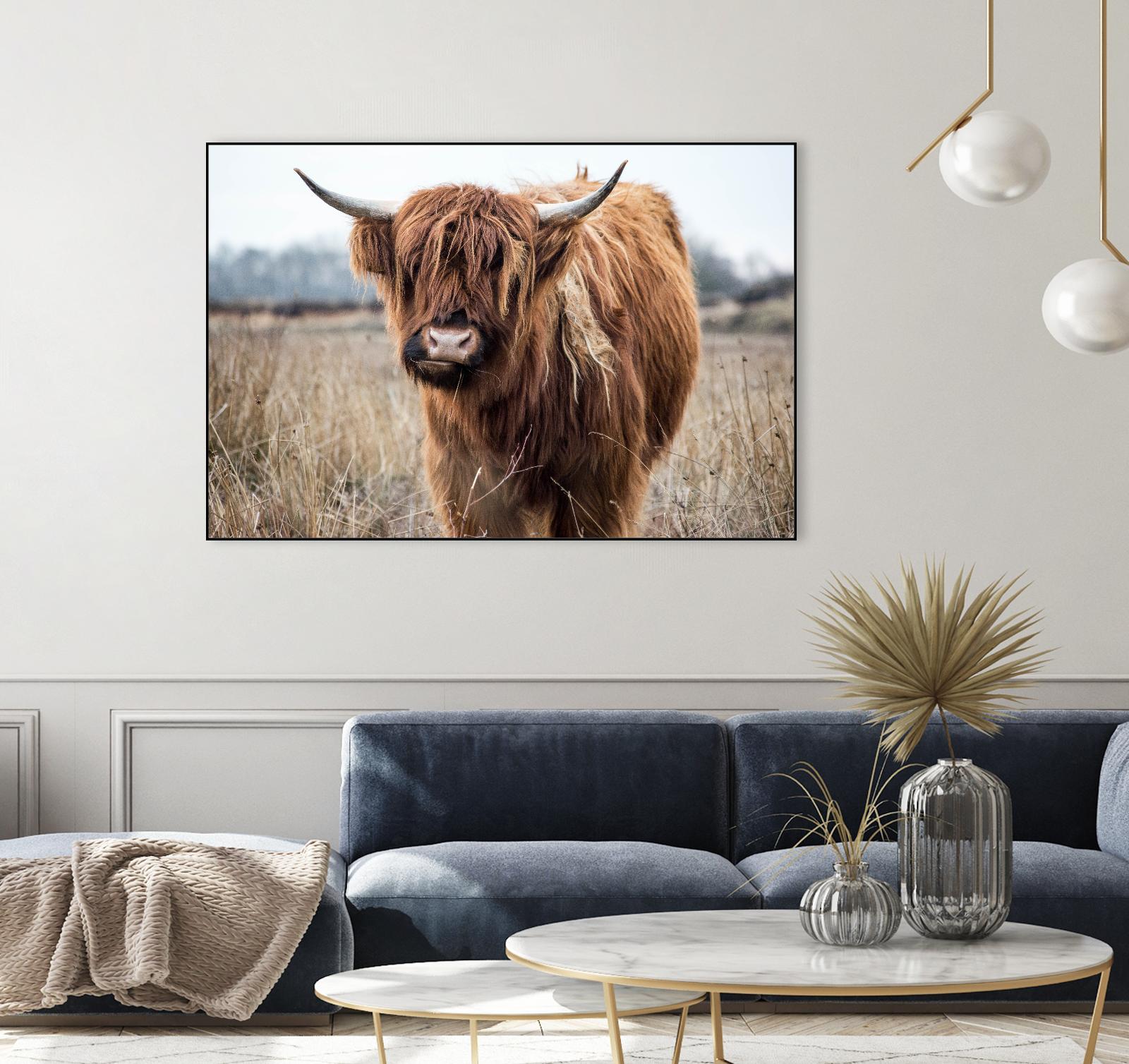 Grazing by Pexels on GIANT ART - black animals