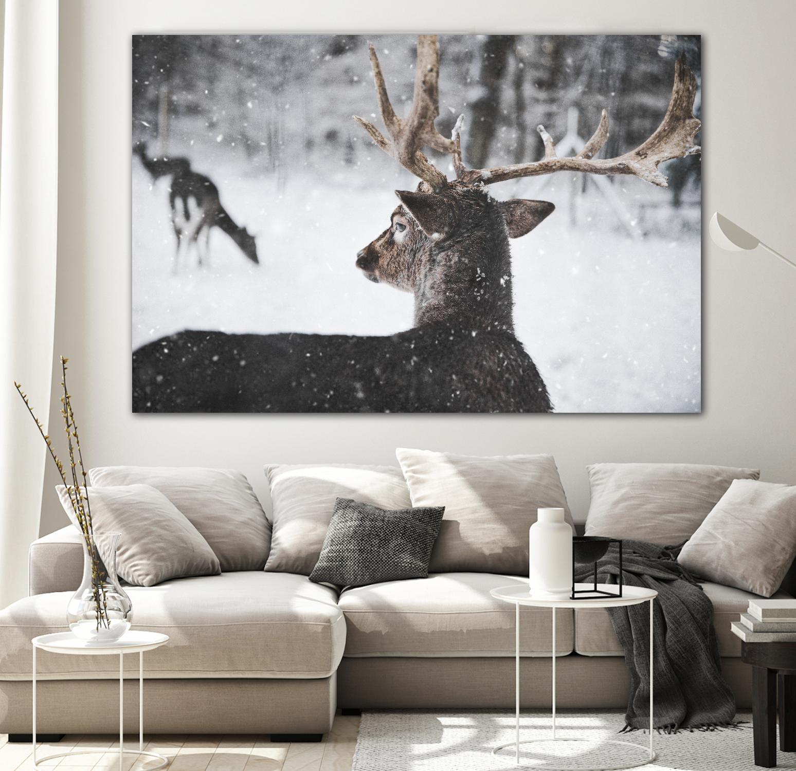 Deers by Pexels on GIANT ART - white animals