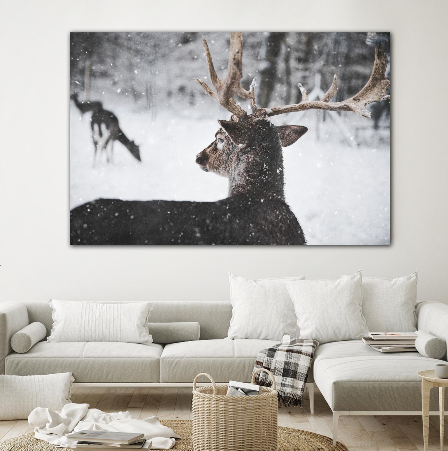 Deers by Pexels on GIANT ART - white animals