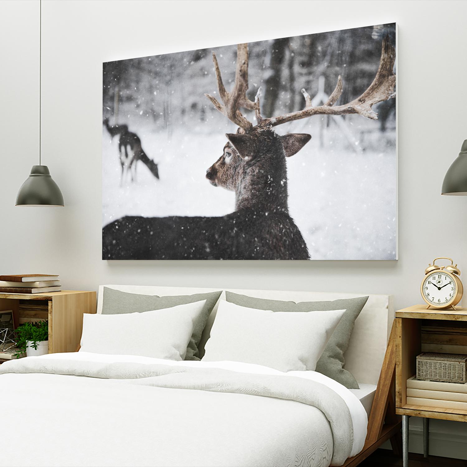 Deers by Pexels on GIANT ART - white animals