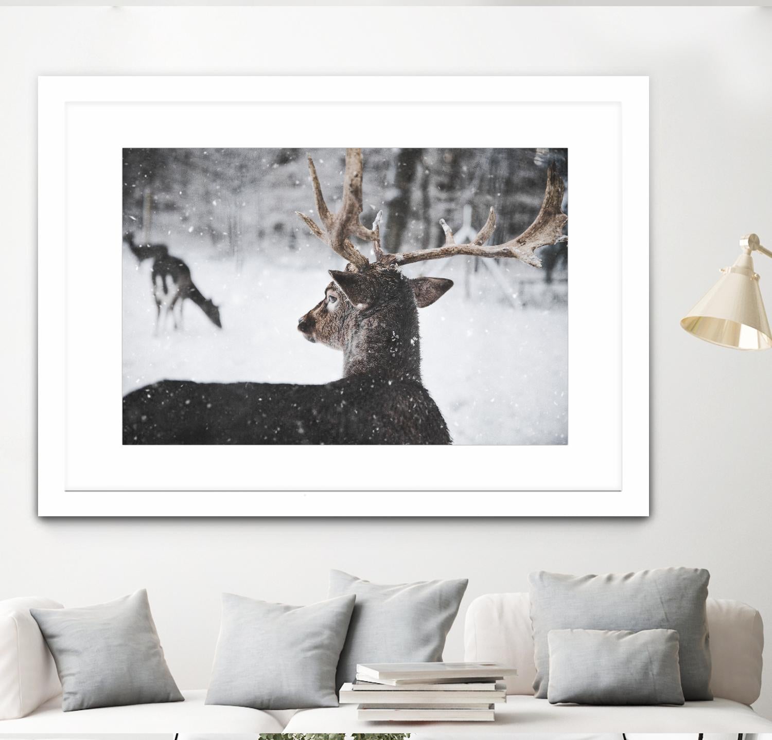 Deers by Pexels on GIANT ART - white animals
