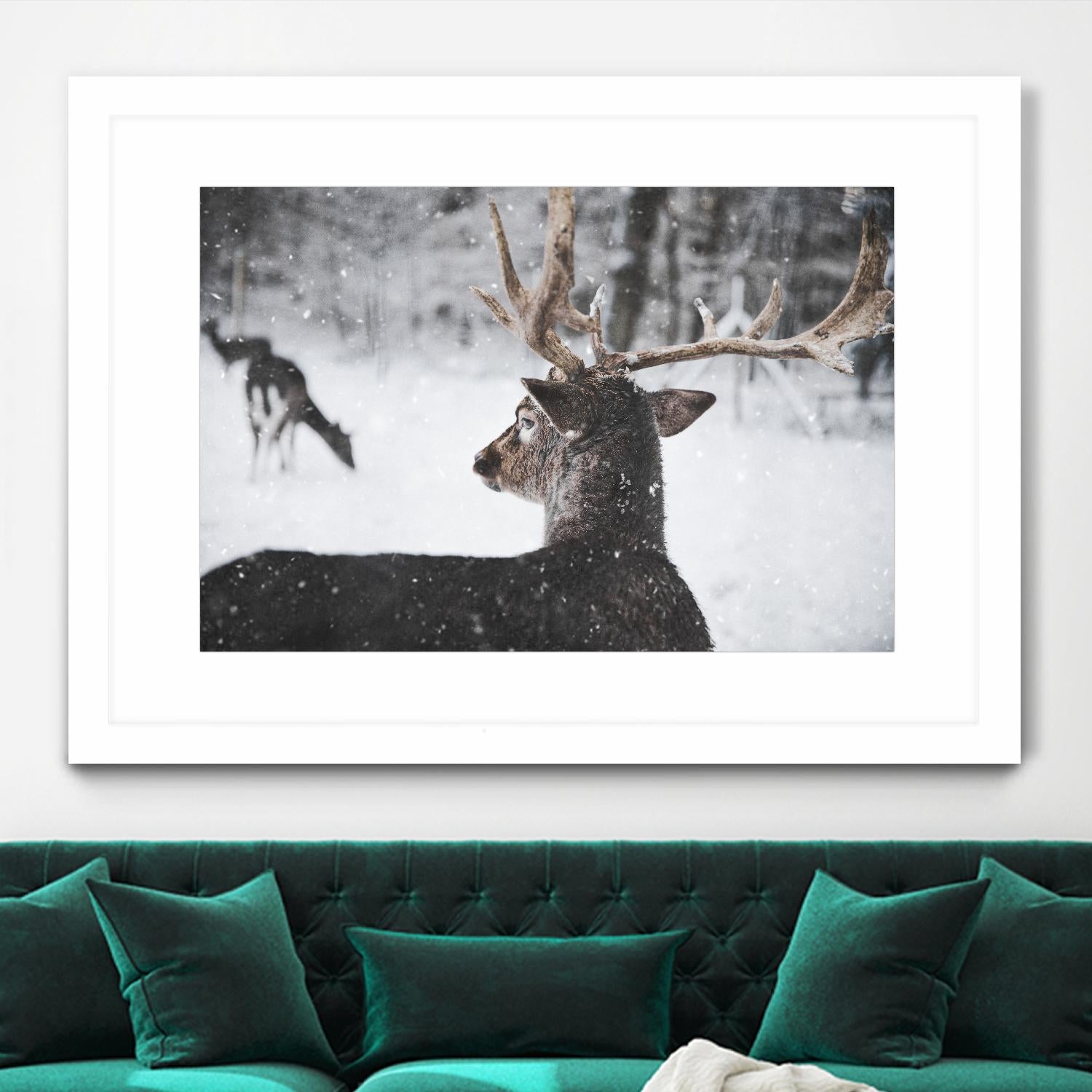 Deers by Pexels on GIANT ART - white animals