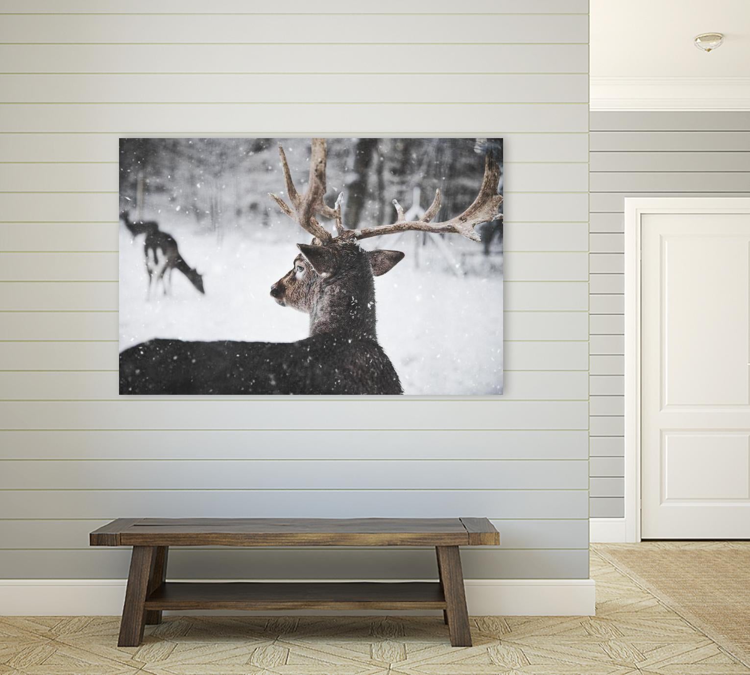 Deers by Pexels on GIANT ART - white animals
