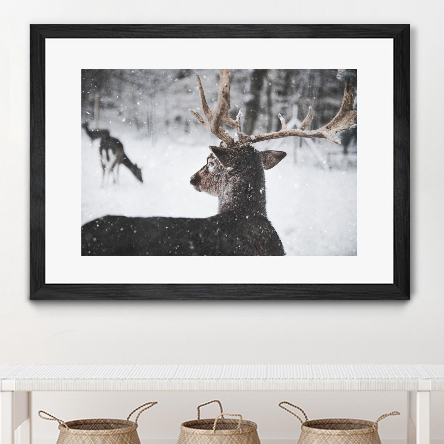 Deers by Pexels on GIANT ART - white animals