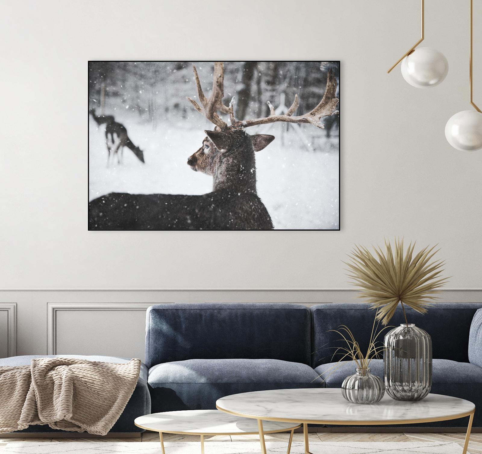 Deers by Pexels on GIANT ART - white animals