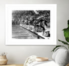 swimming competition at berlin Olympic Games in 1936  by Bridgeman Images  on GIANT ART - black and white photgraphy